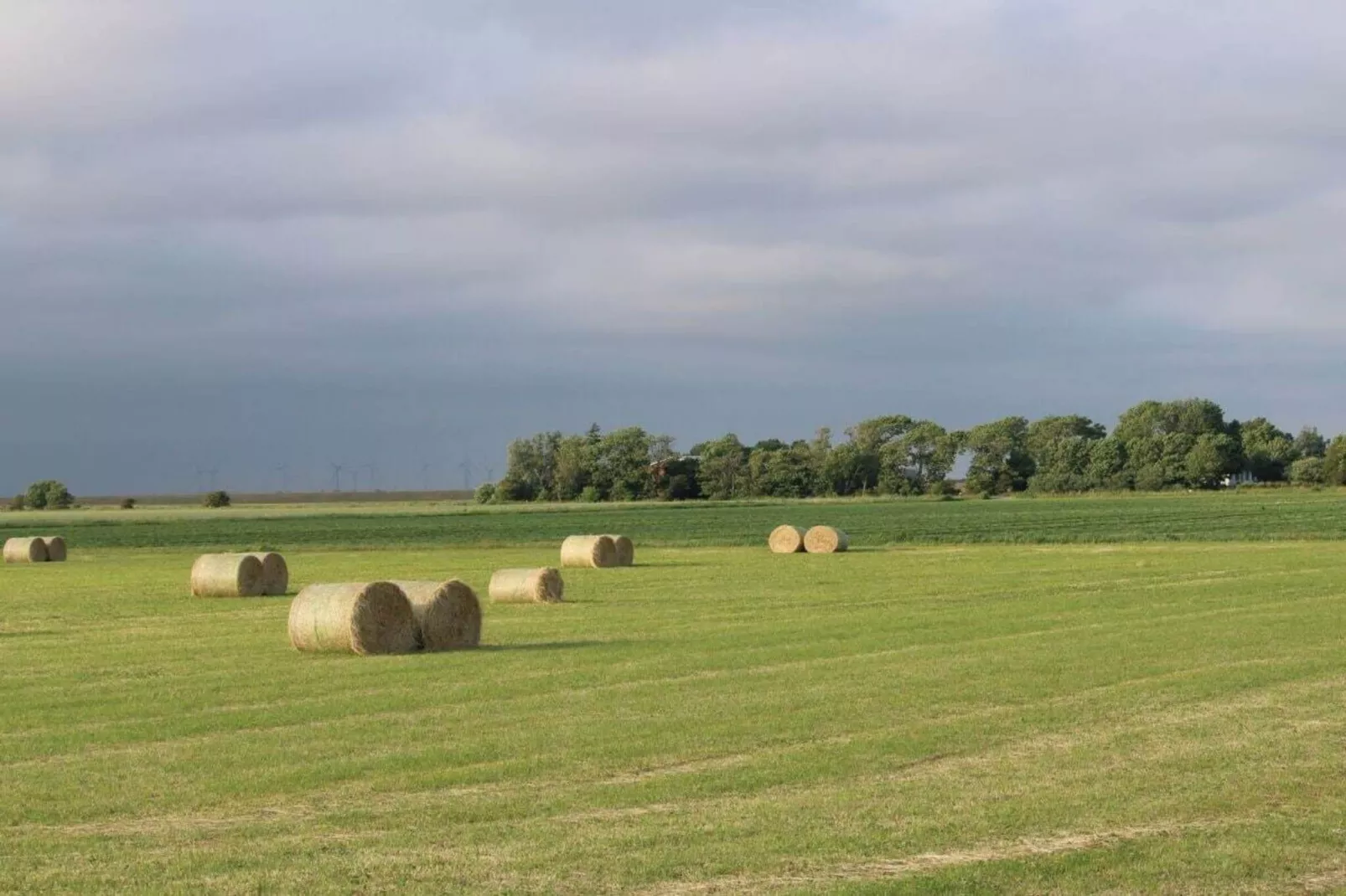 490310 - Gebieden zomer 5km