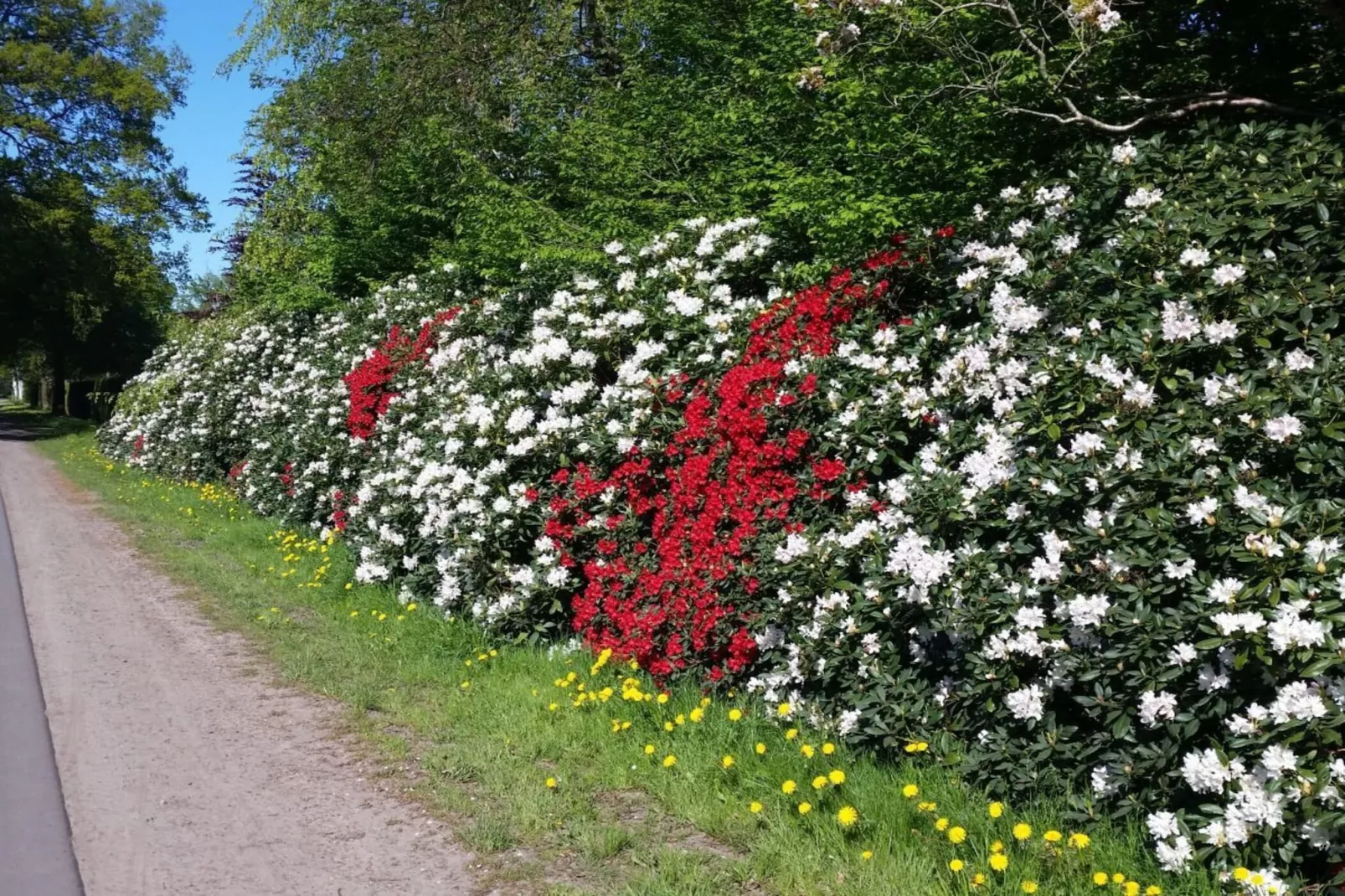 165295 - Tuinen zomer