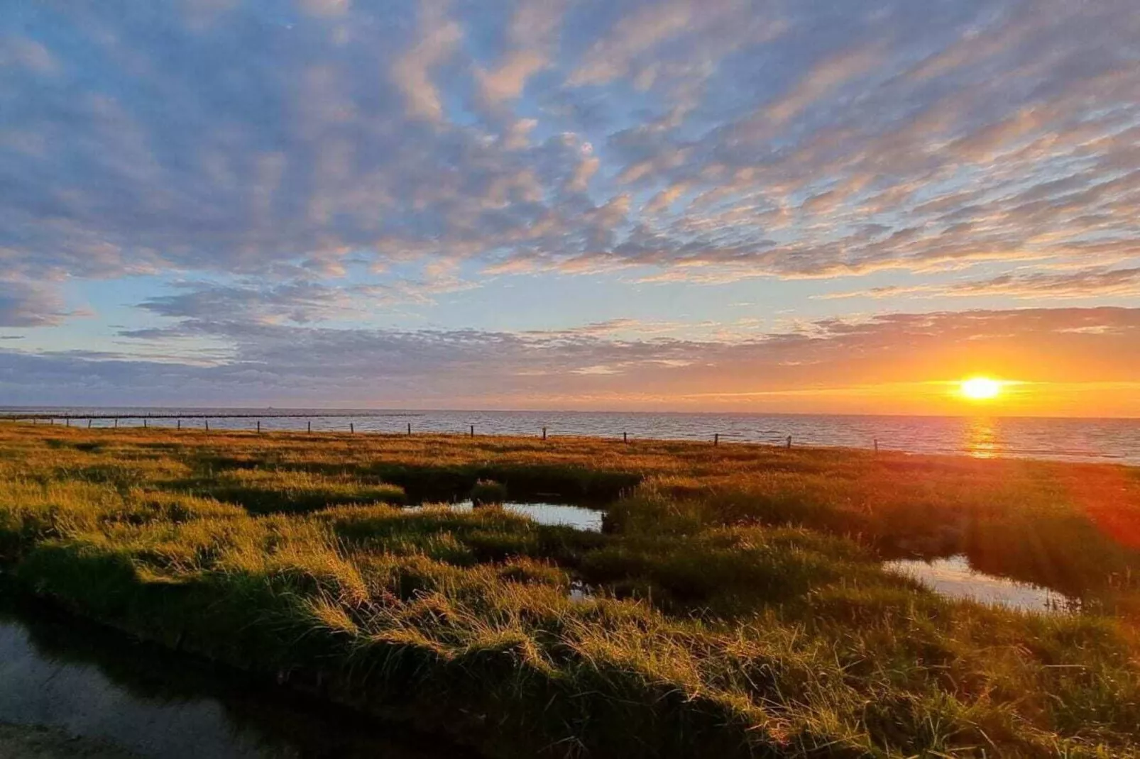 487221 - Gebieden zomer 5km