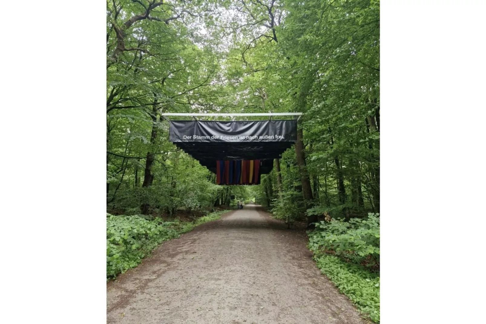 632513 - Gebieden zomer 1km