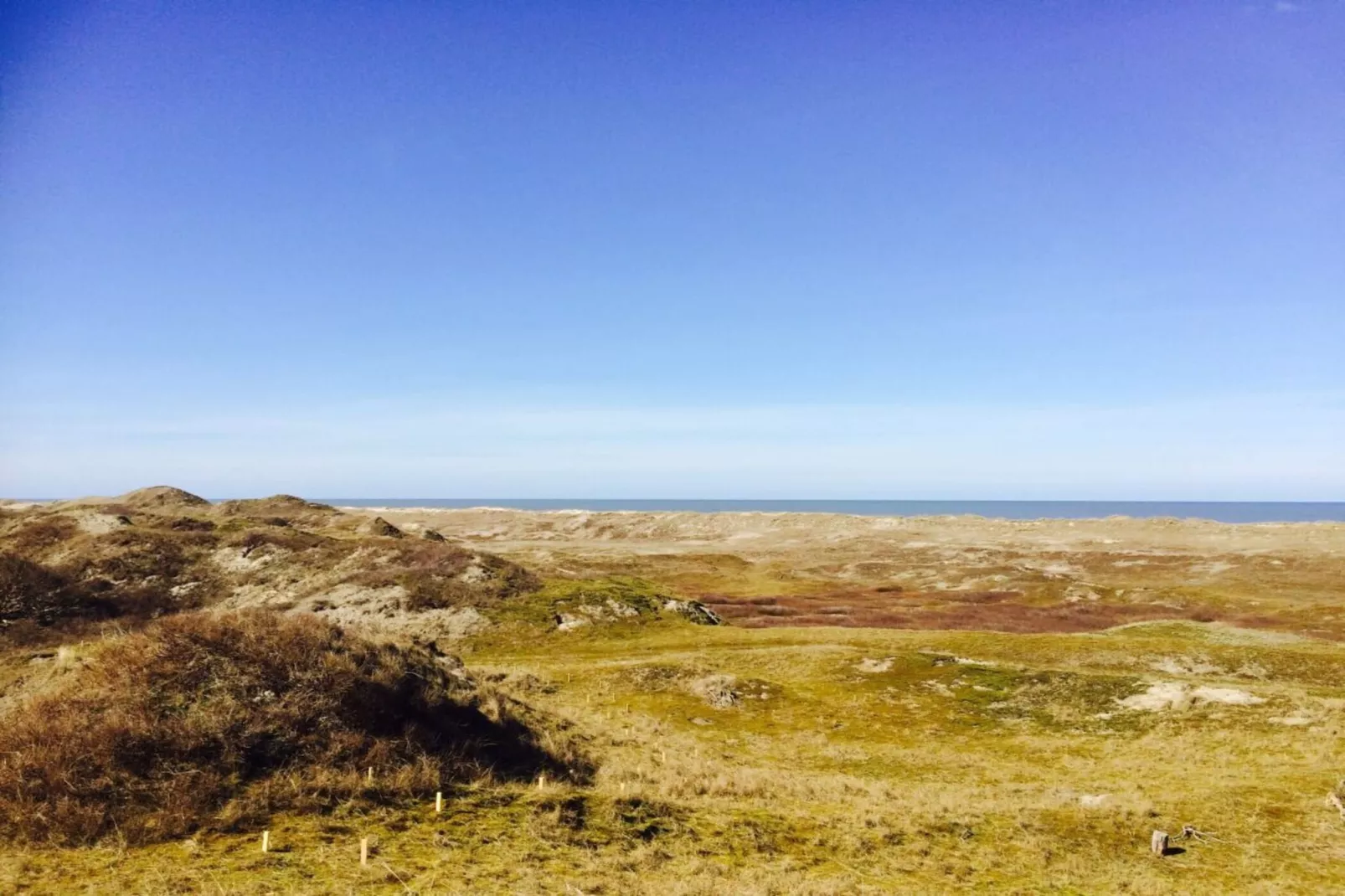 108690-Gebieden zomer 5km