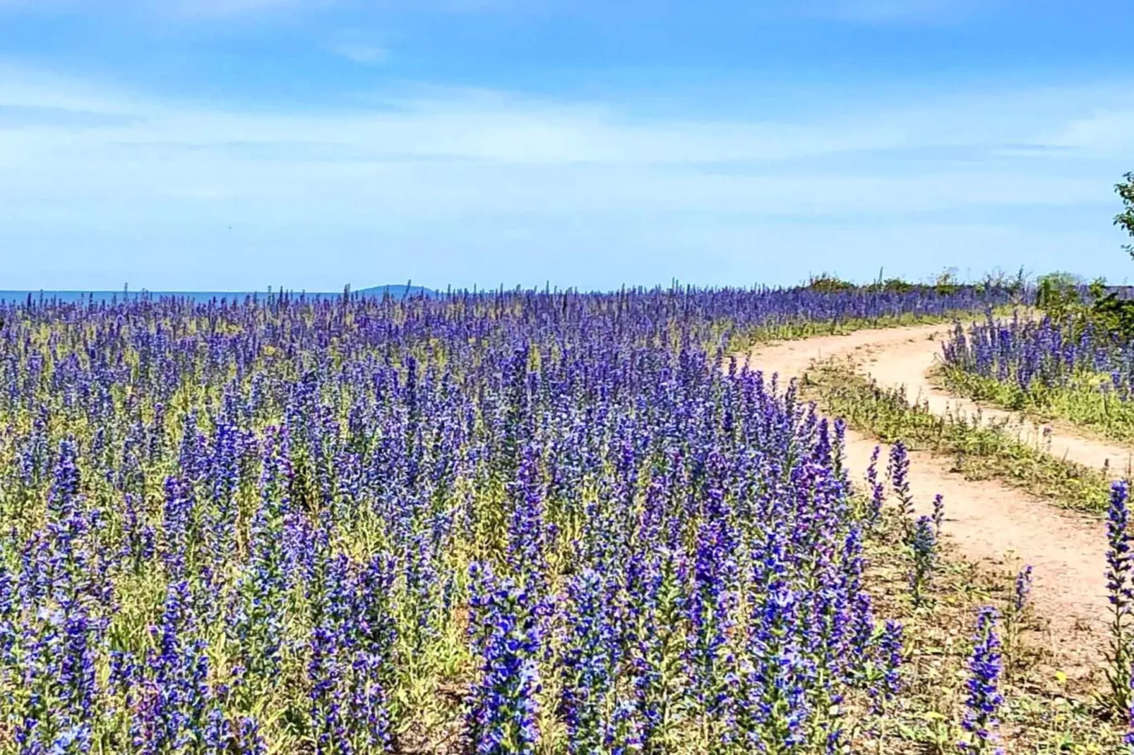 6 Personen vakantie huis in LÖTTORP-Niet-getagd