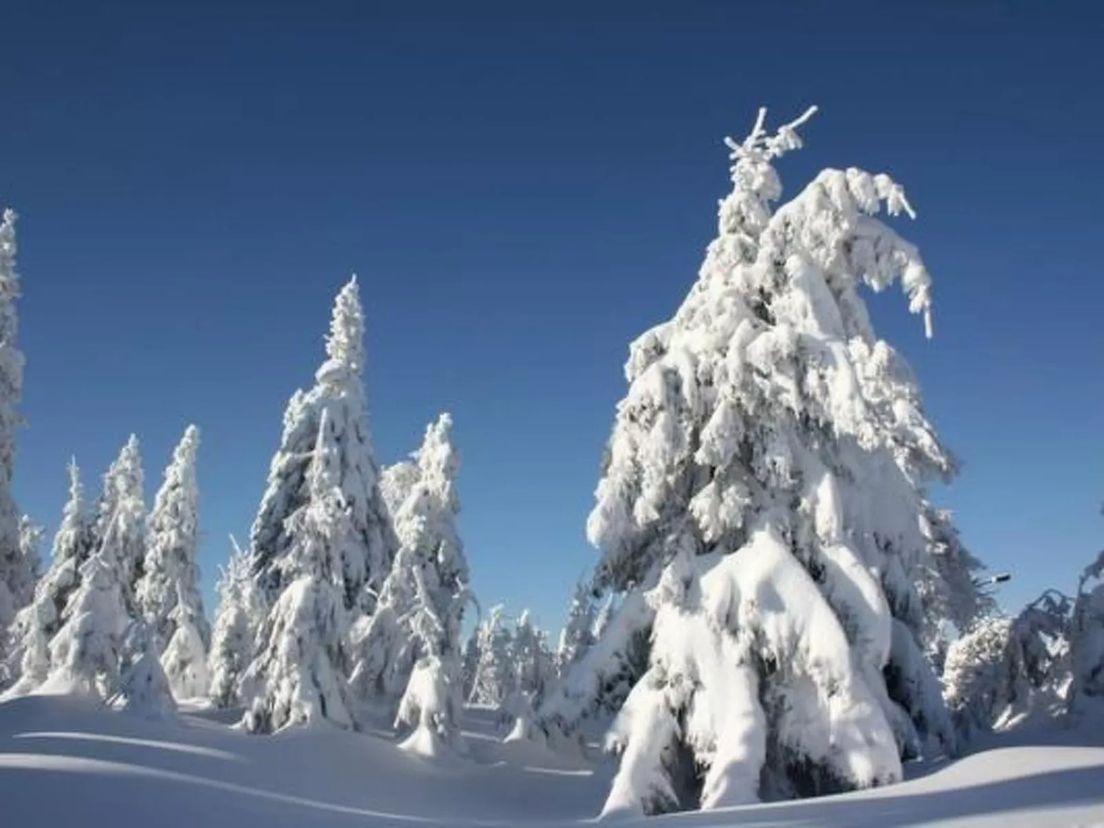 Fewo Silberglanz-Buiten