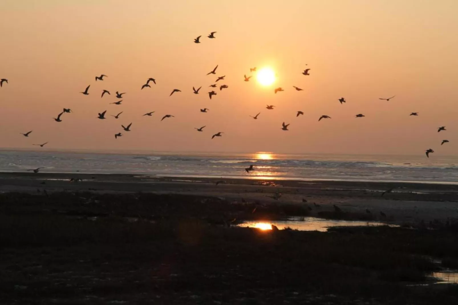 Comfort Chalet-Gebieden zomer 20km