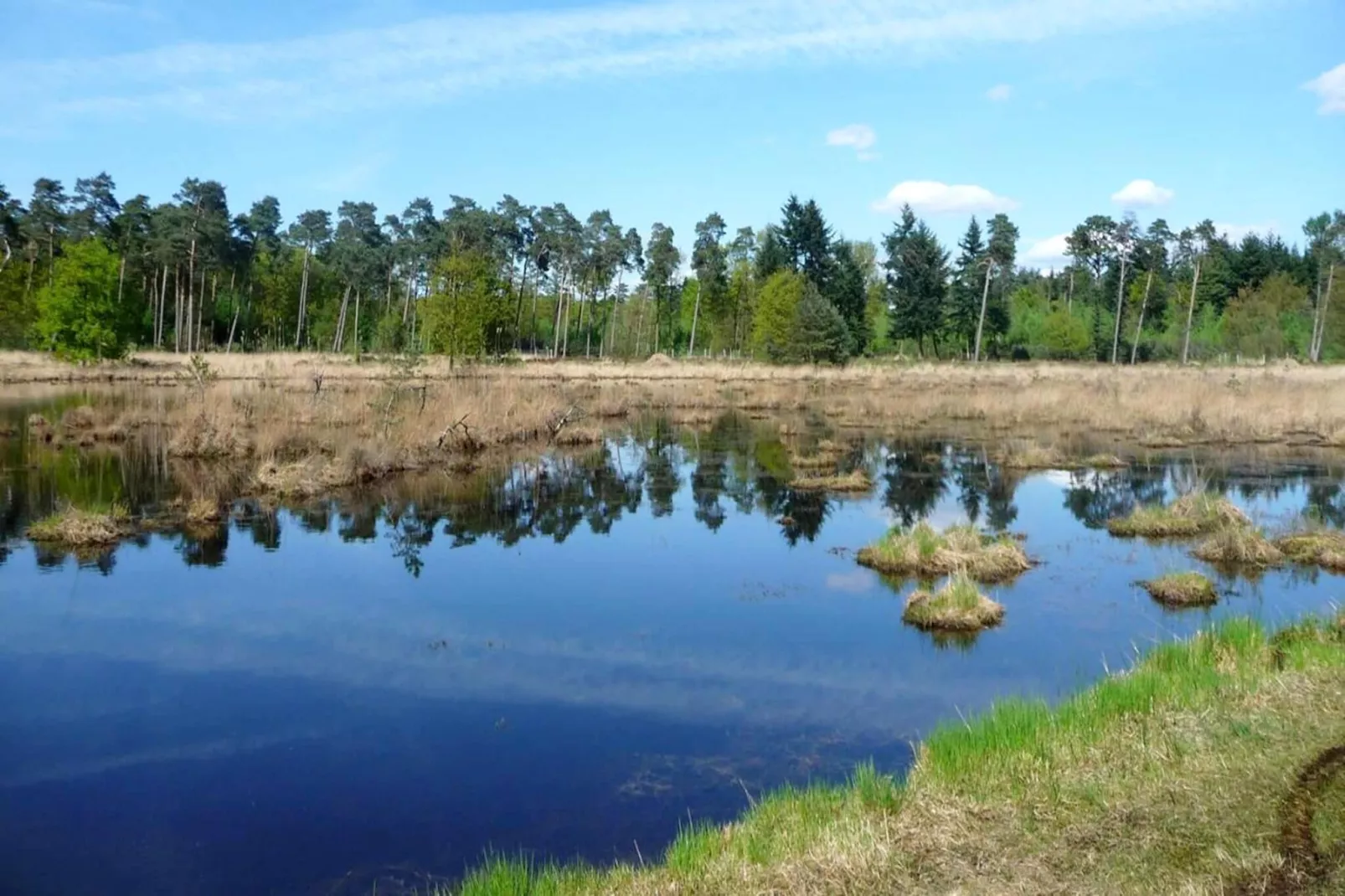 Sun Lodges - 6p-Gebieden zomer 1km