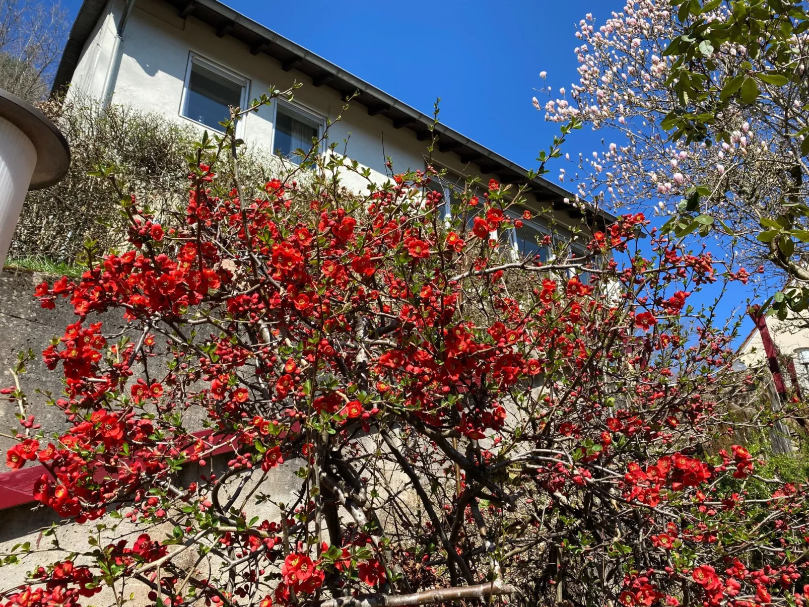 Emma - Image-tags.info