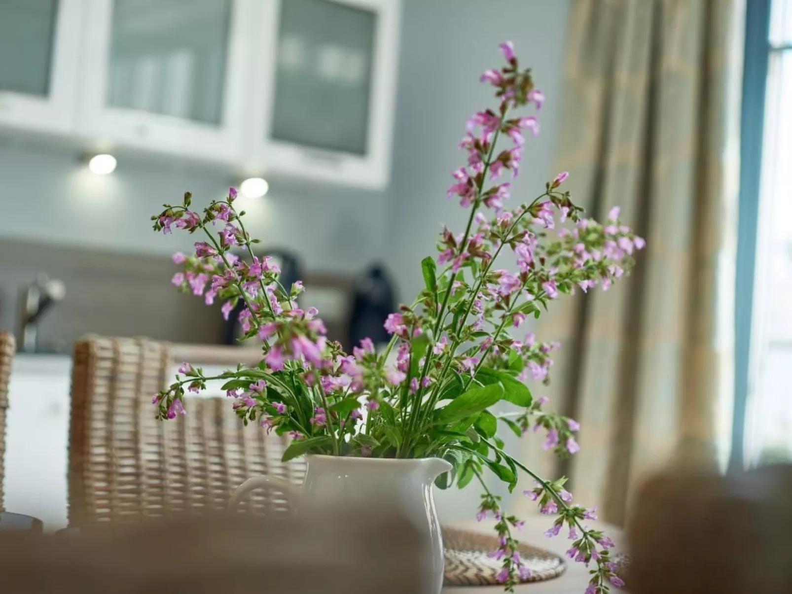 In Sellin mit Großer Sauna - Image-tags.info