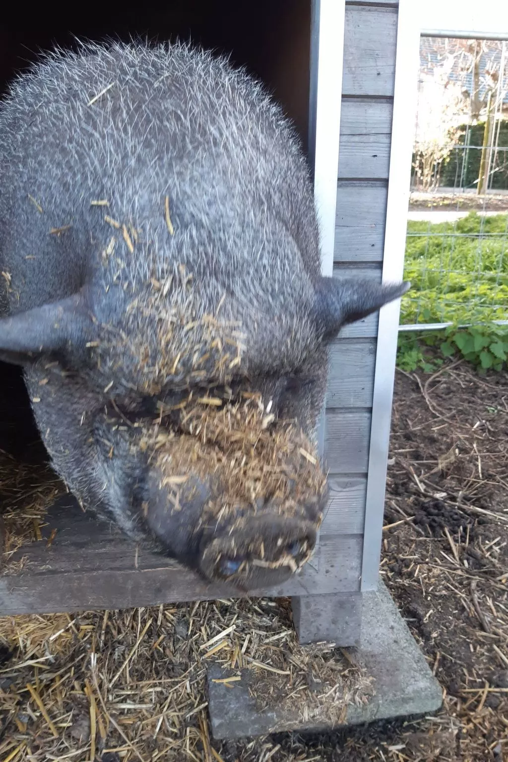 Mit gemeinsamem Pool und Garten - Image-tags.info