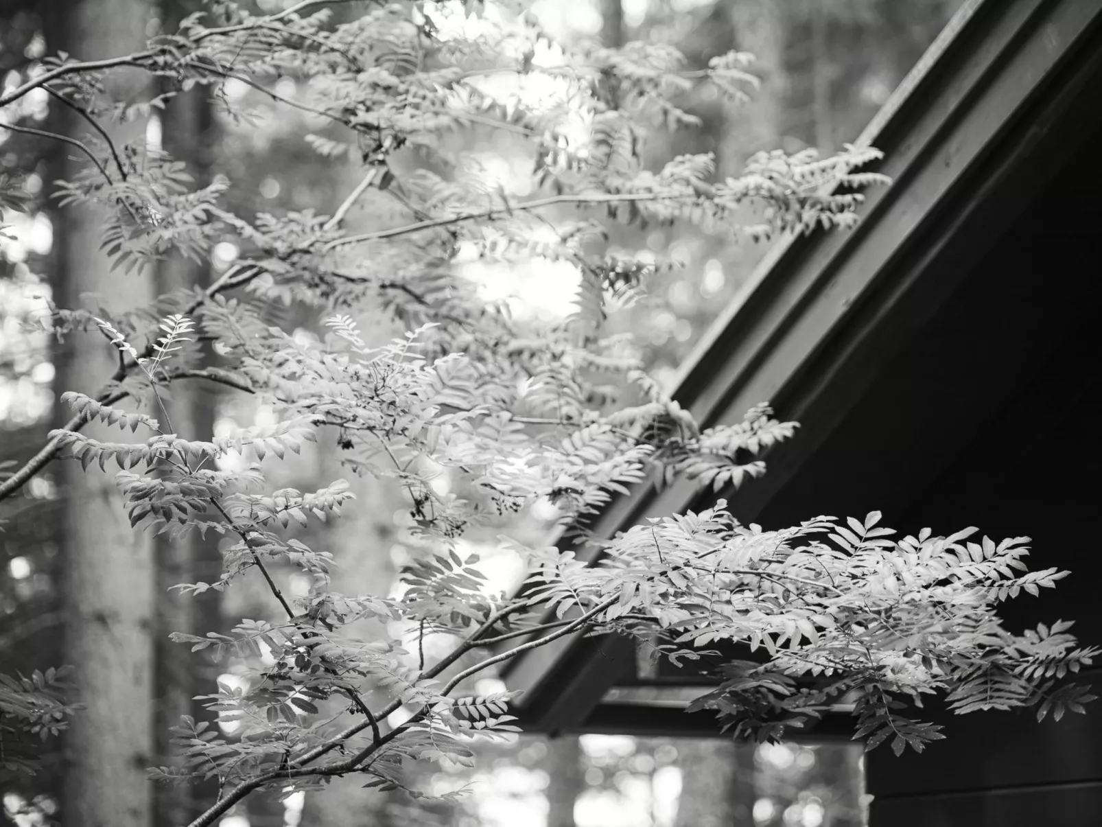 Berg Hütte Hochpillberg - Image-tags.info