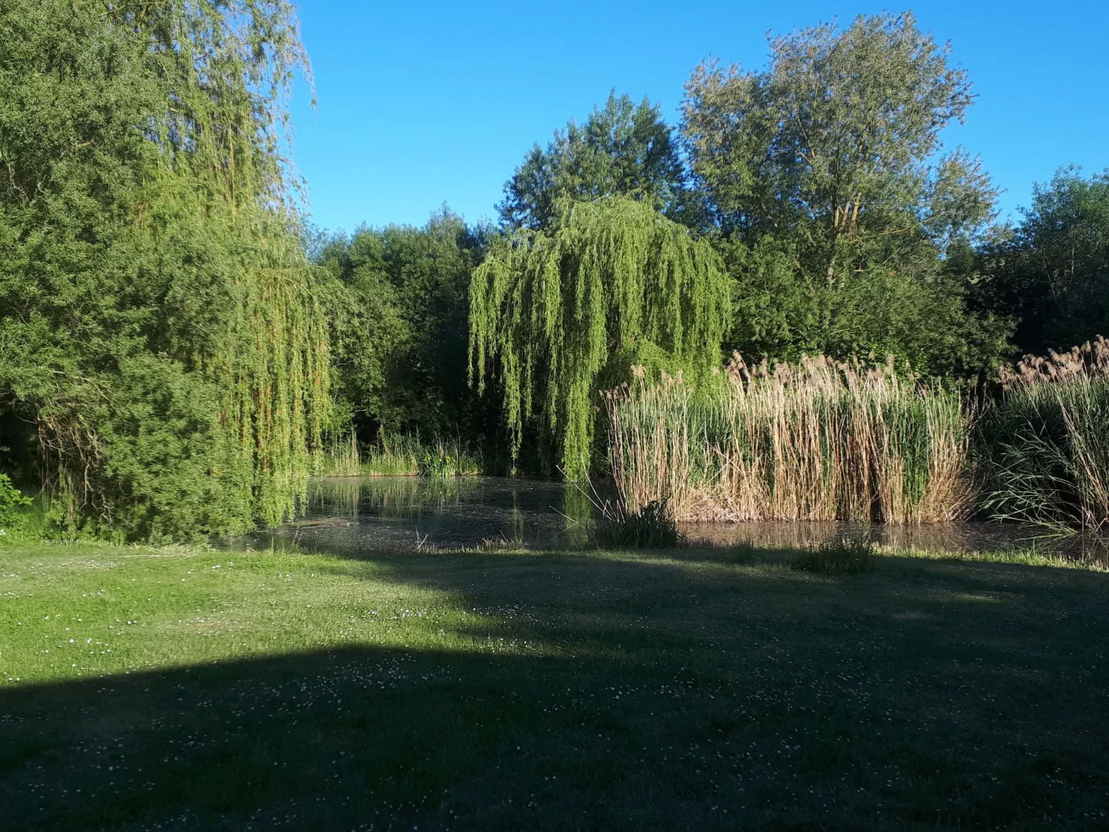 Mit naturnahen Badeteich - Image-tags.info