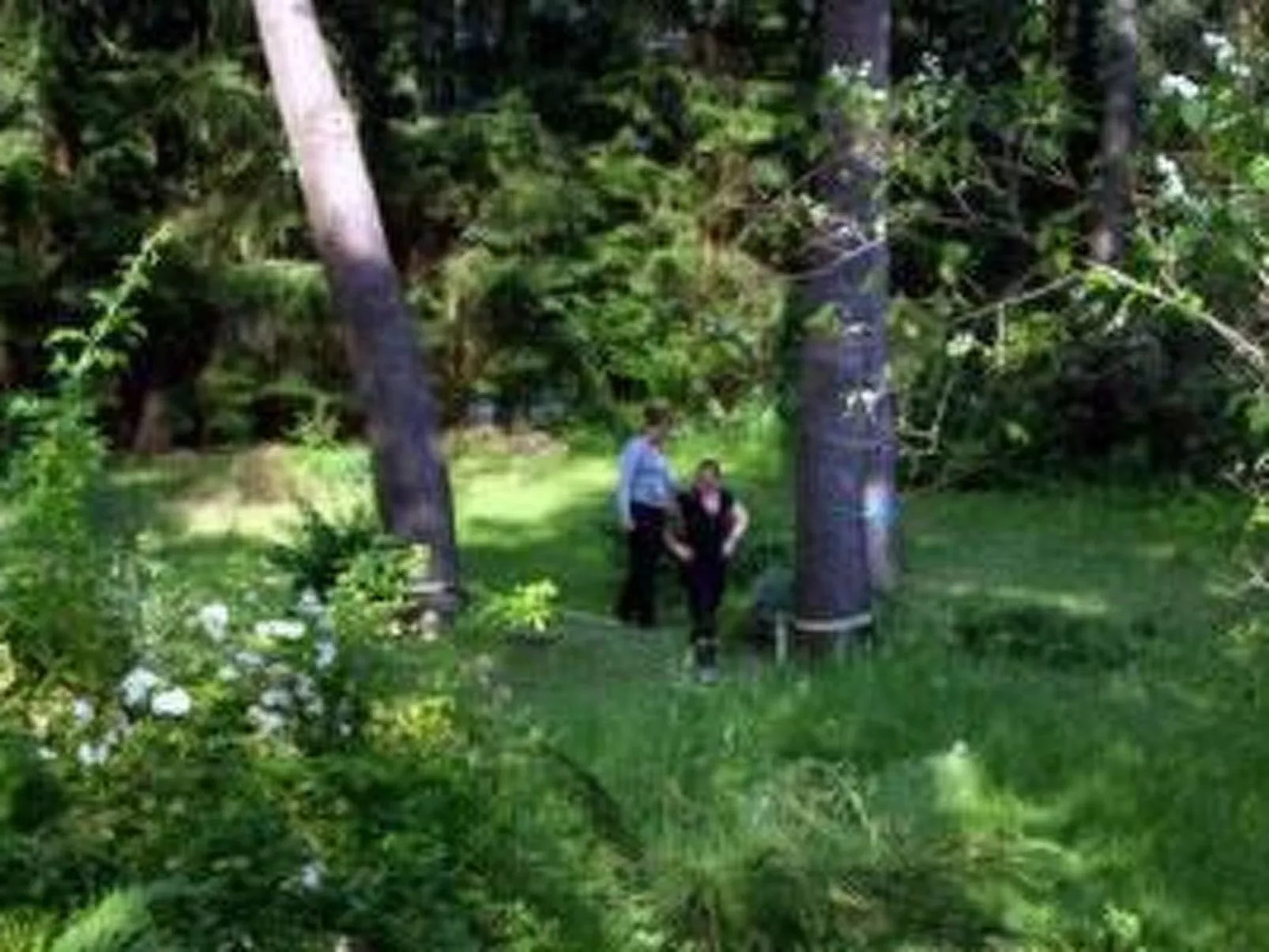 Seerose - Image-tags.info