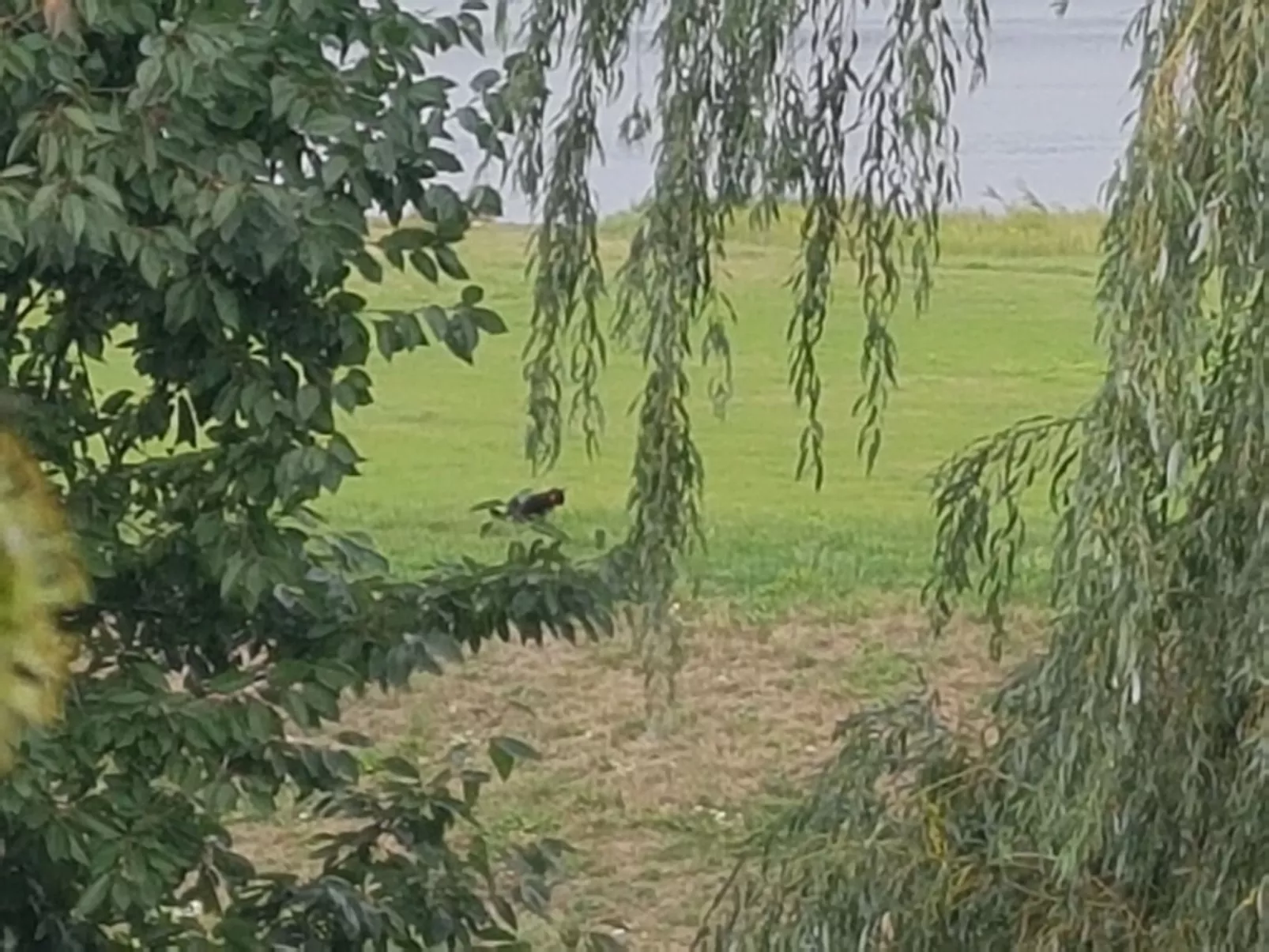 Elbufer 4C - Image-tags.info