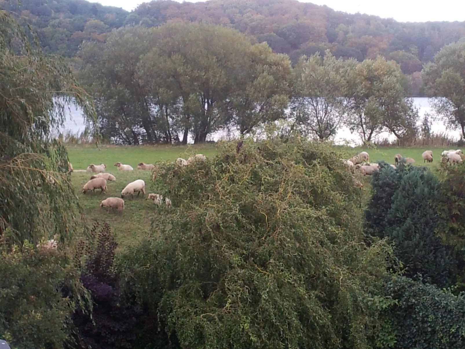 Kontor - Image-tags.info