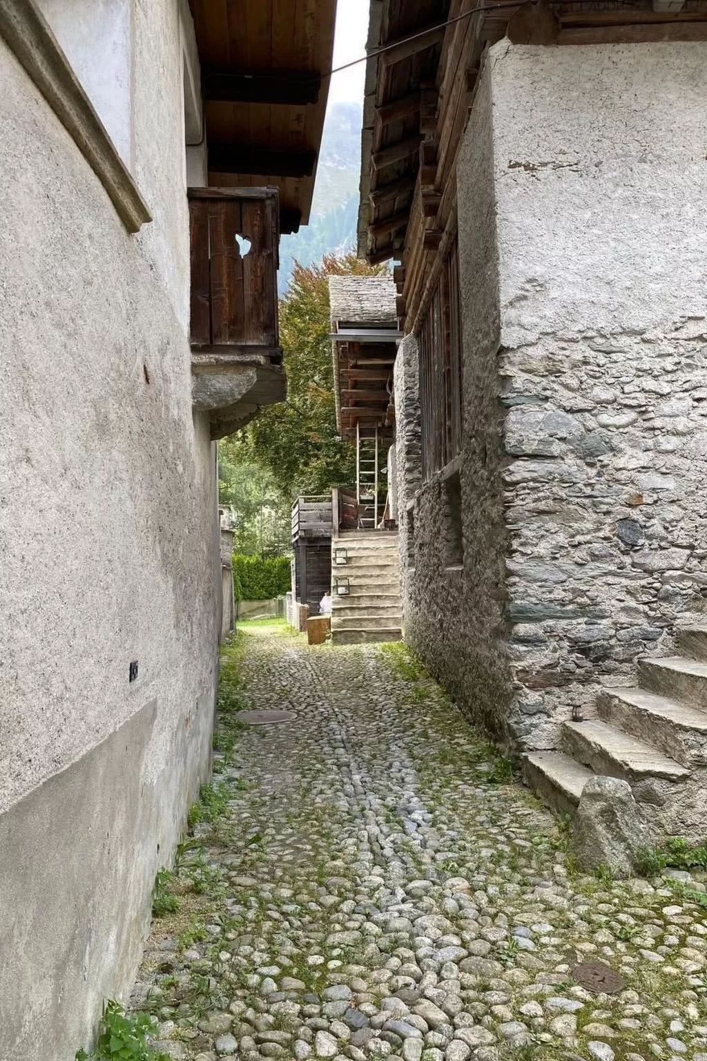 Cad Ciävra - Image-tags.info