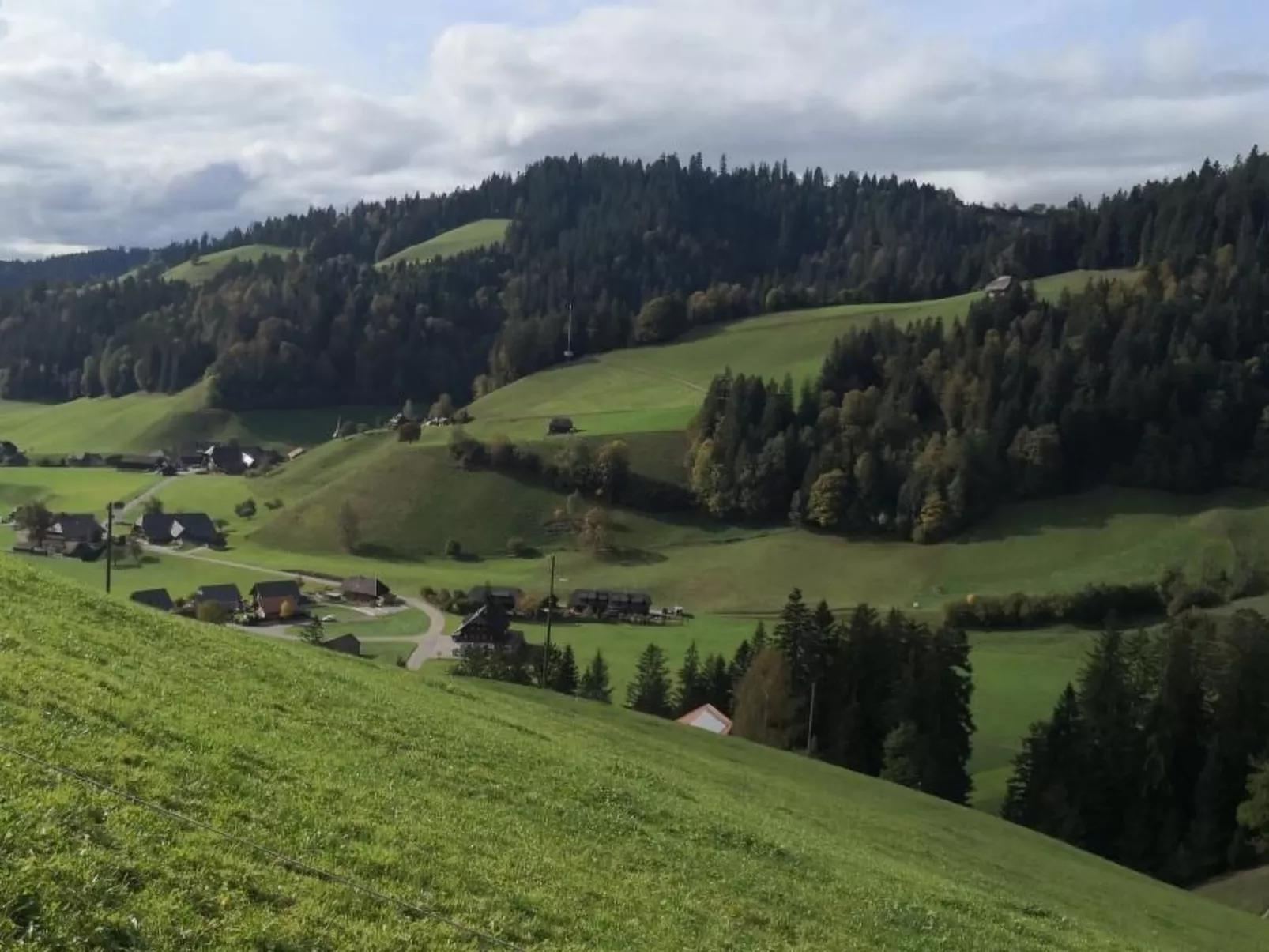 Karotte - Image-tags.info