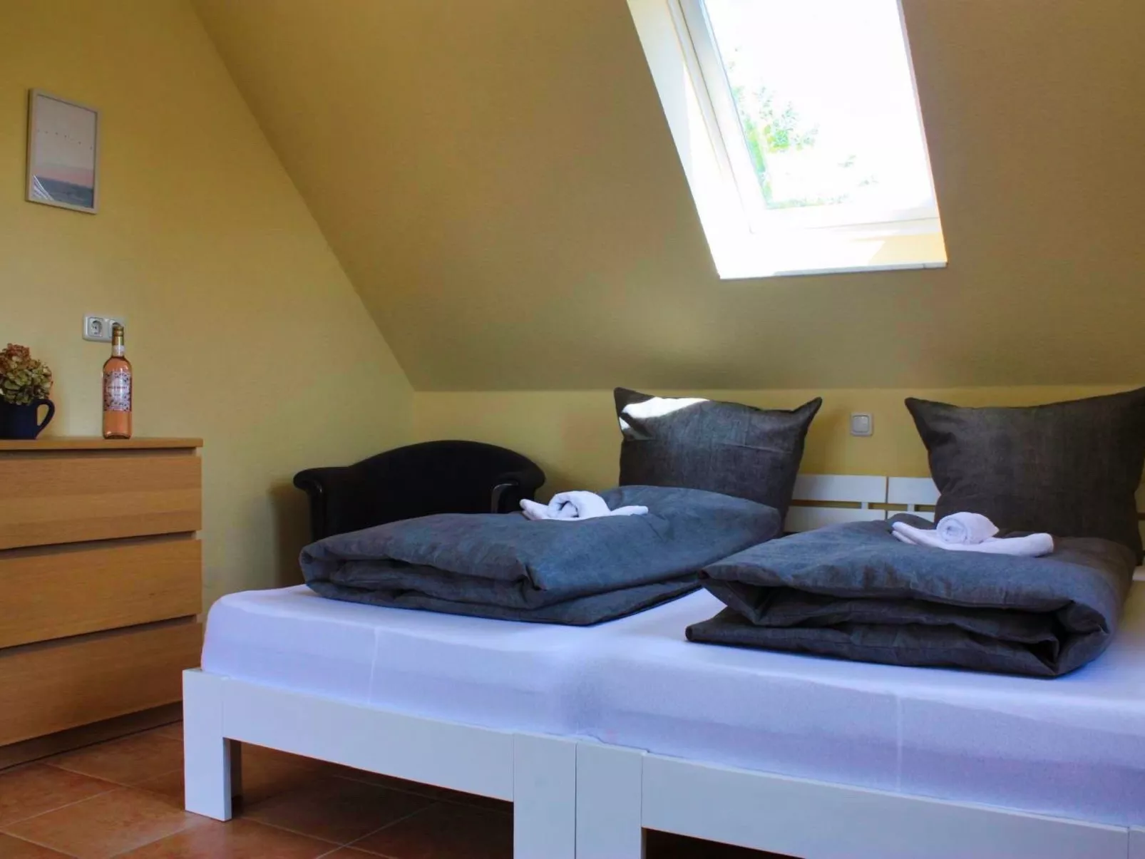 Sandregenpfeifer - Image-tags.info