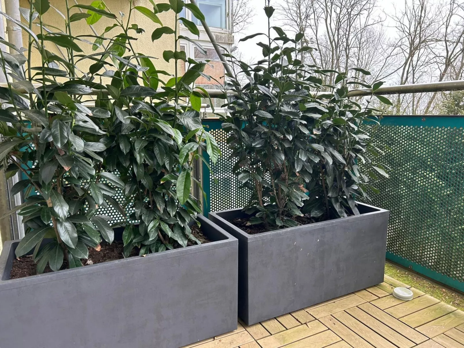 Top Lage Klinikum - Image-tags.info