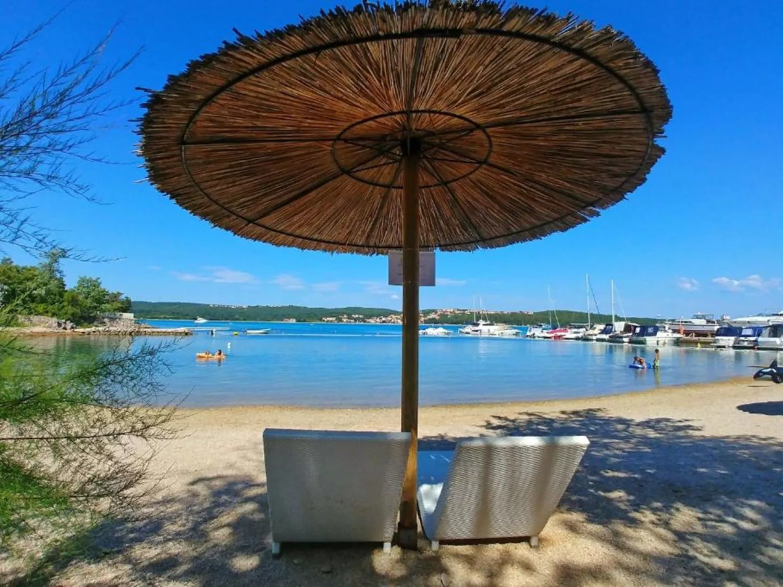 "Willheim" - Image-tags.info