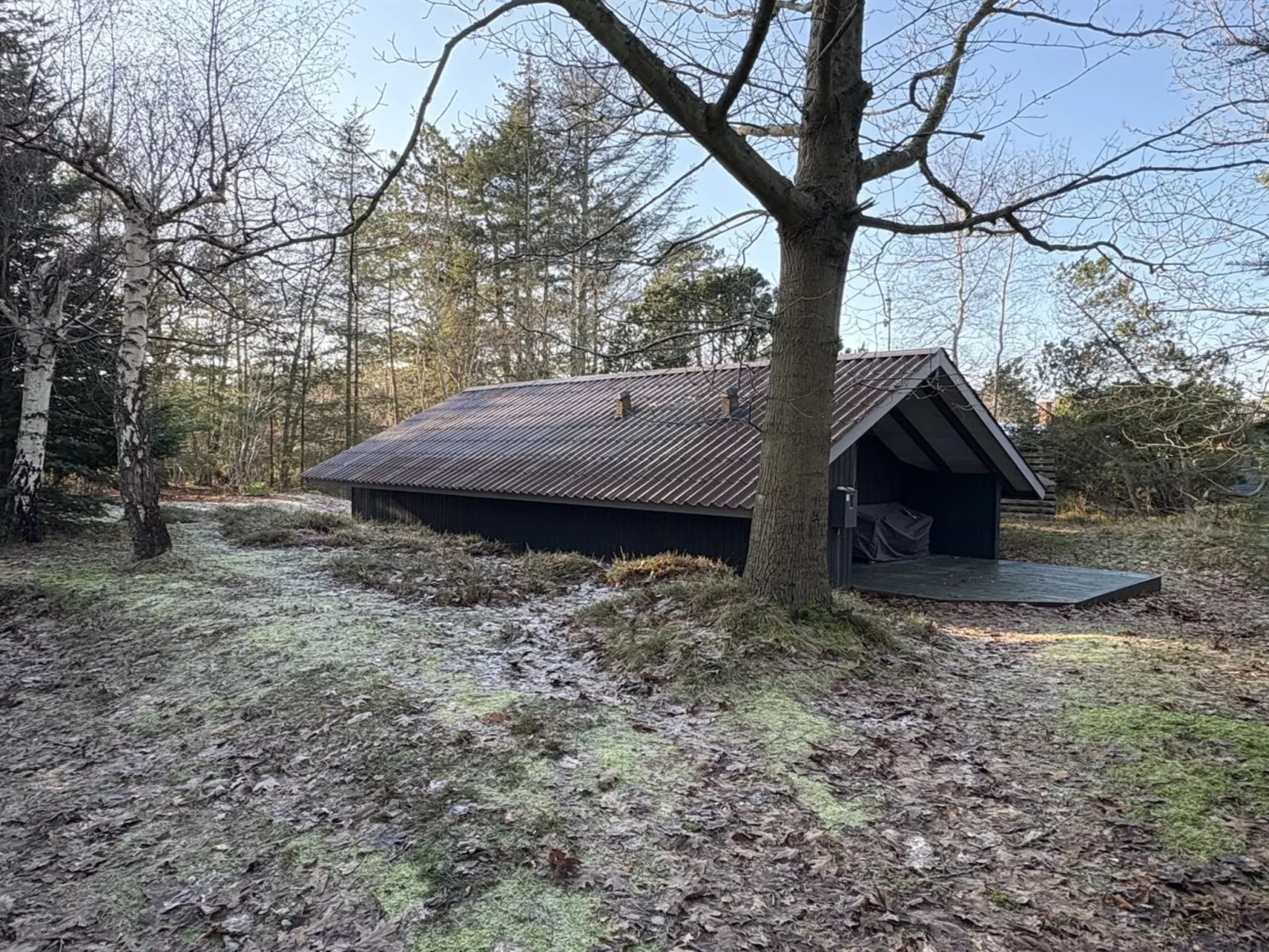 "Elfrede" - 900m from the sea - Buiten