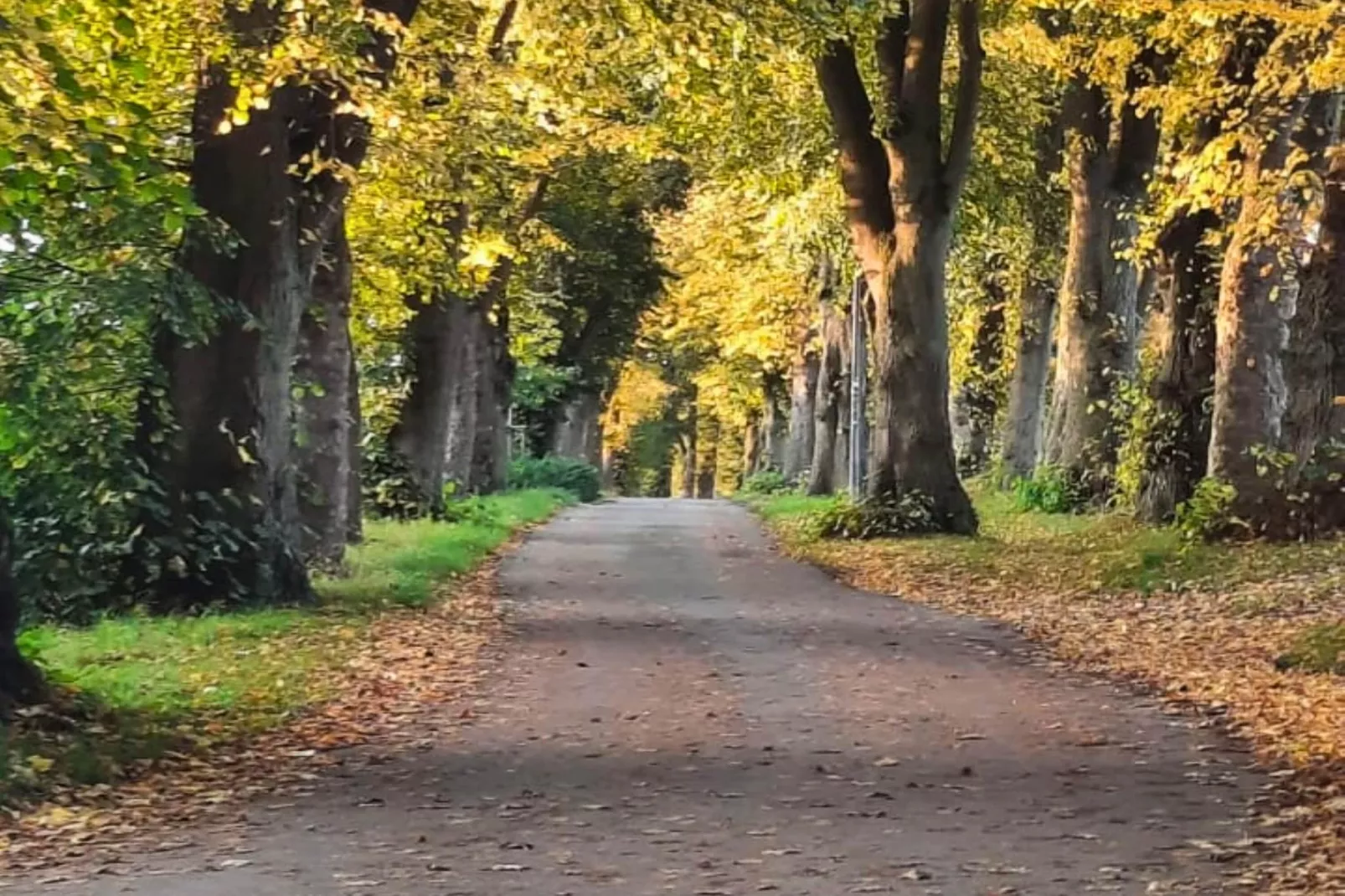 Ferienhaus in Steinheim-Gebieden zomer 1km