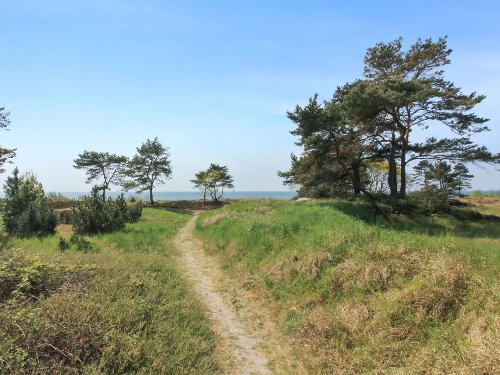 "Essi" - 300m from the sea-Buiten