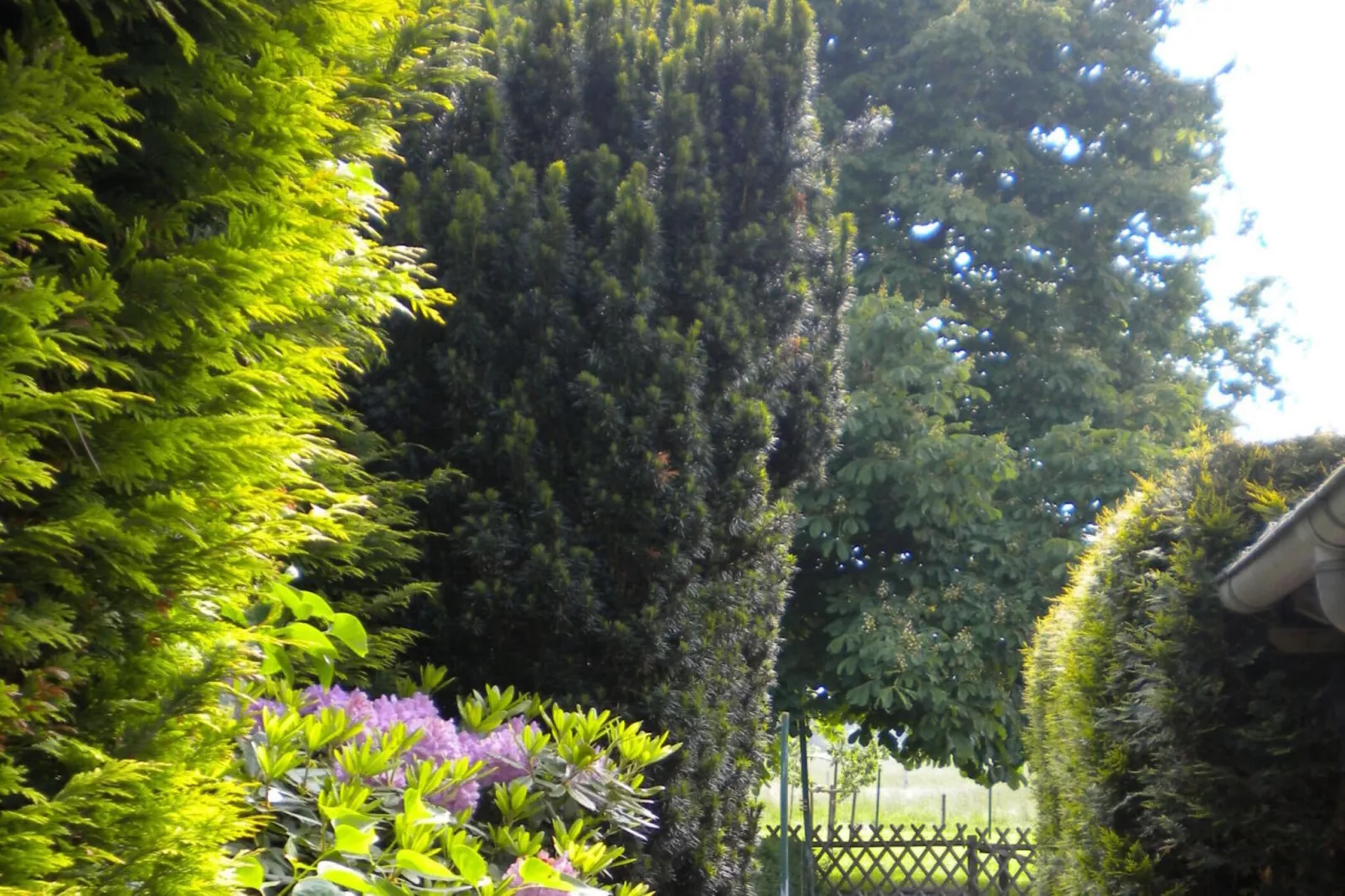 277617 - Buitenlucht