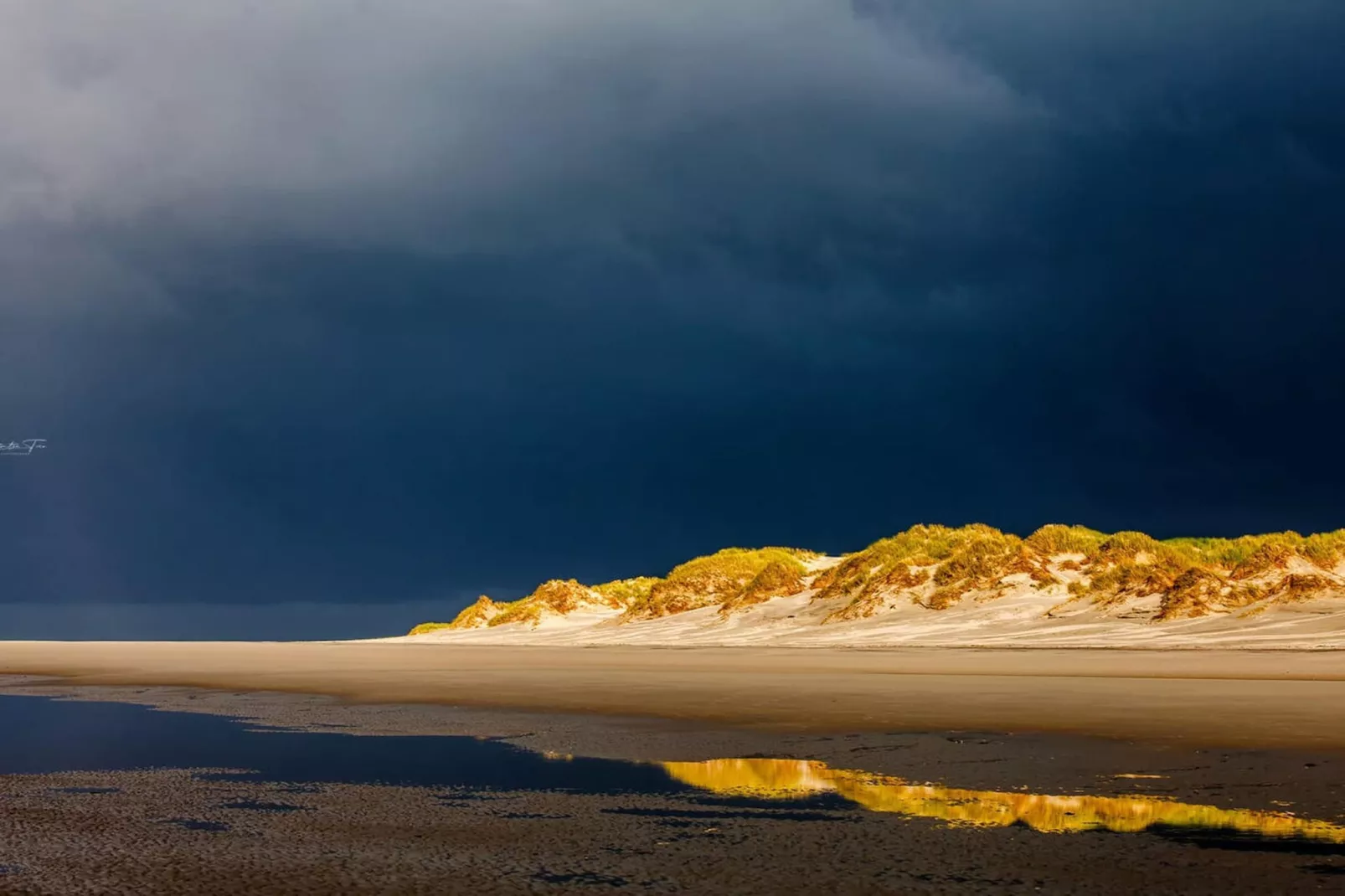 67705 - Gebieden zomer 5km