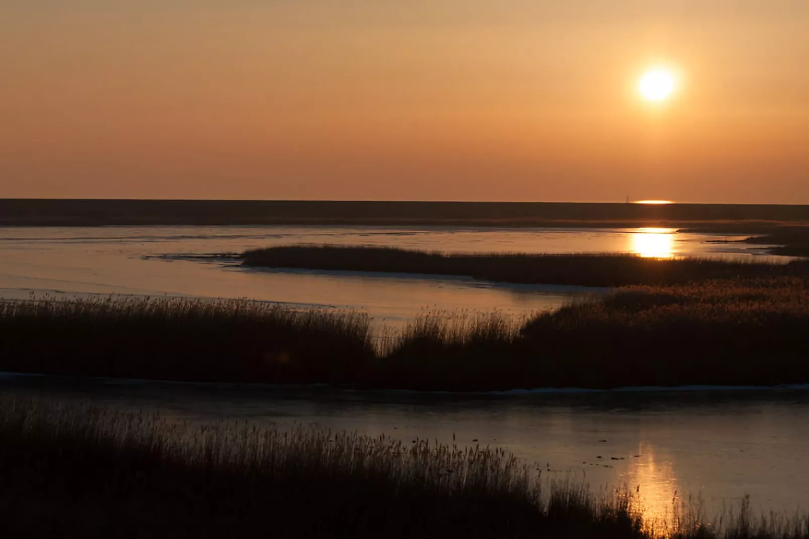 186401-Gebieden zomer 5km