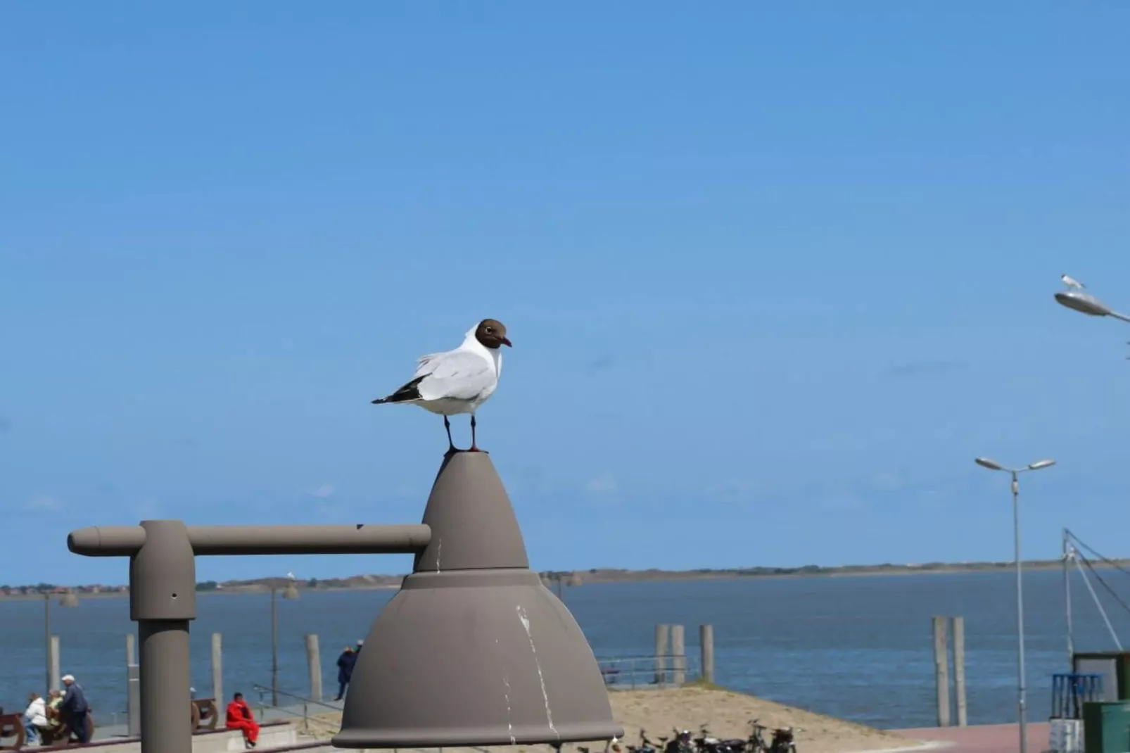 76469-Buitenkant zomer