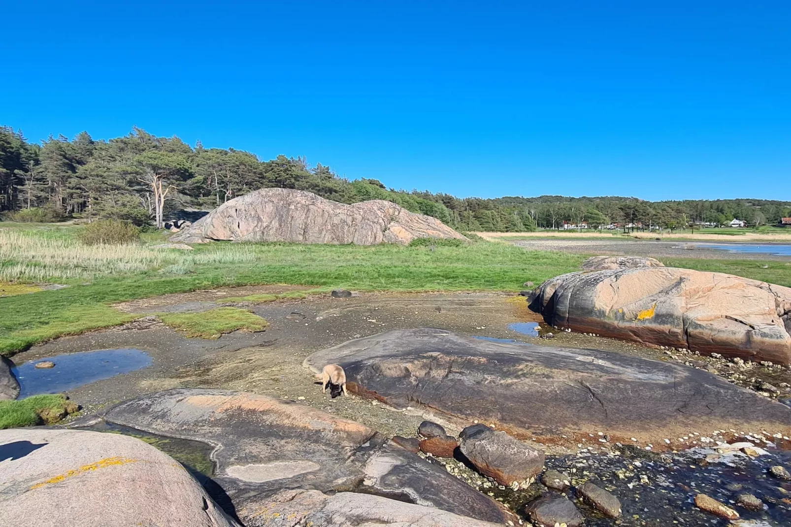 4 sterren vakantie huis in tånumshede-By Traum - Niet-getagd