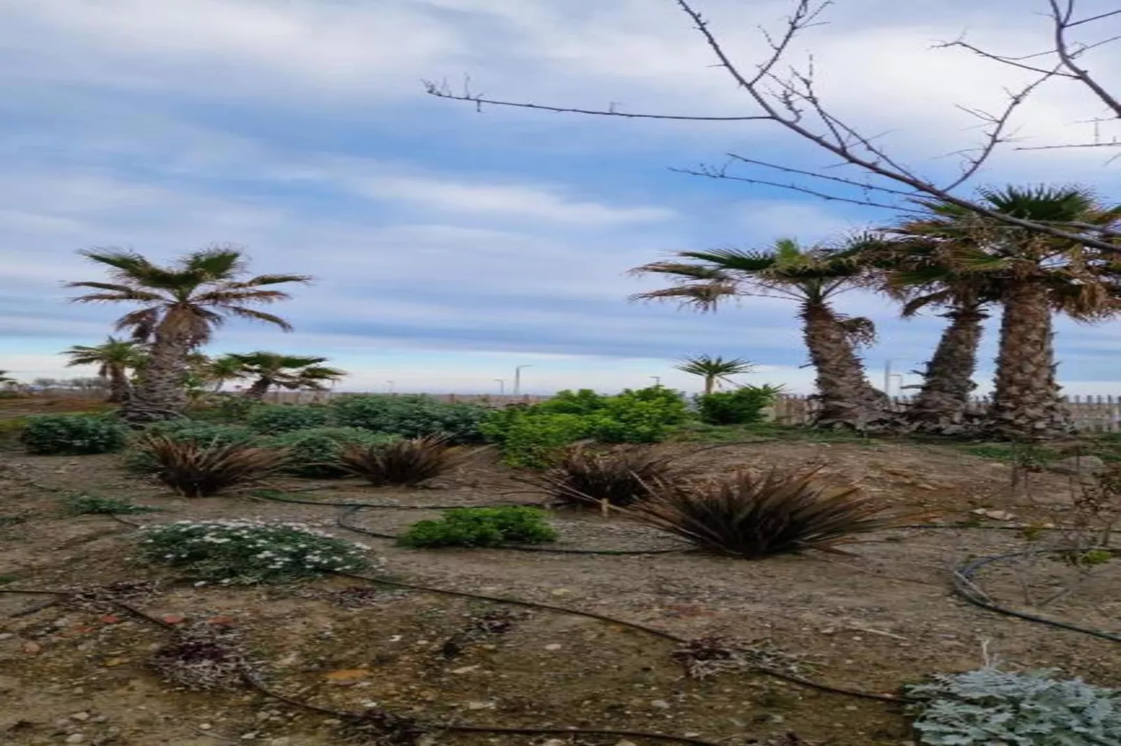 La Dune N°17 - Villa 3P6-Gebieden zomer 20km