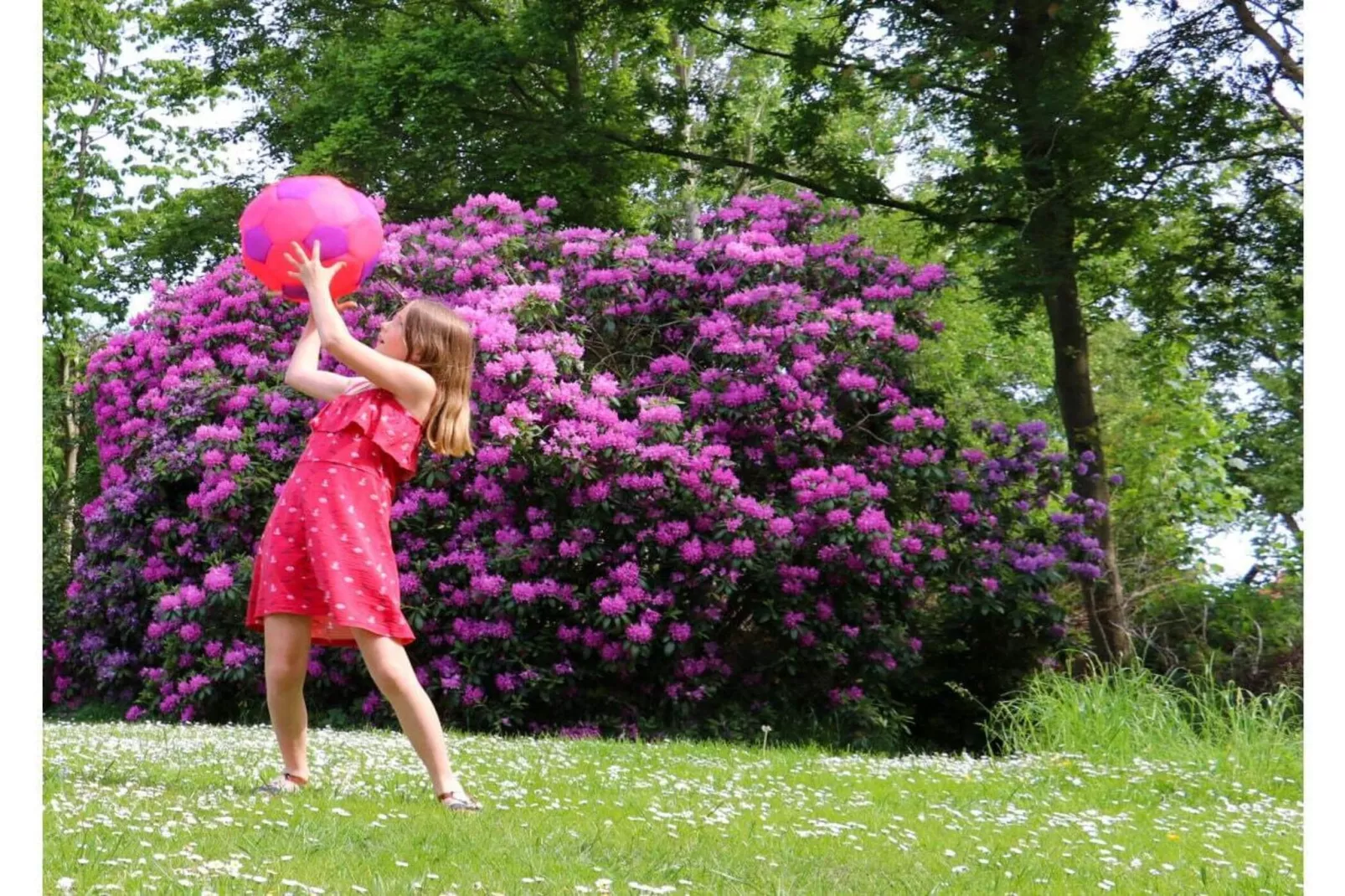218583-Gebieden zomer 5km