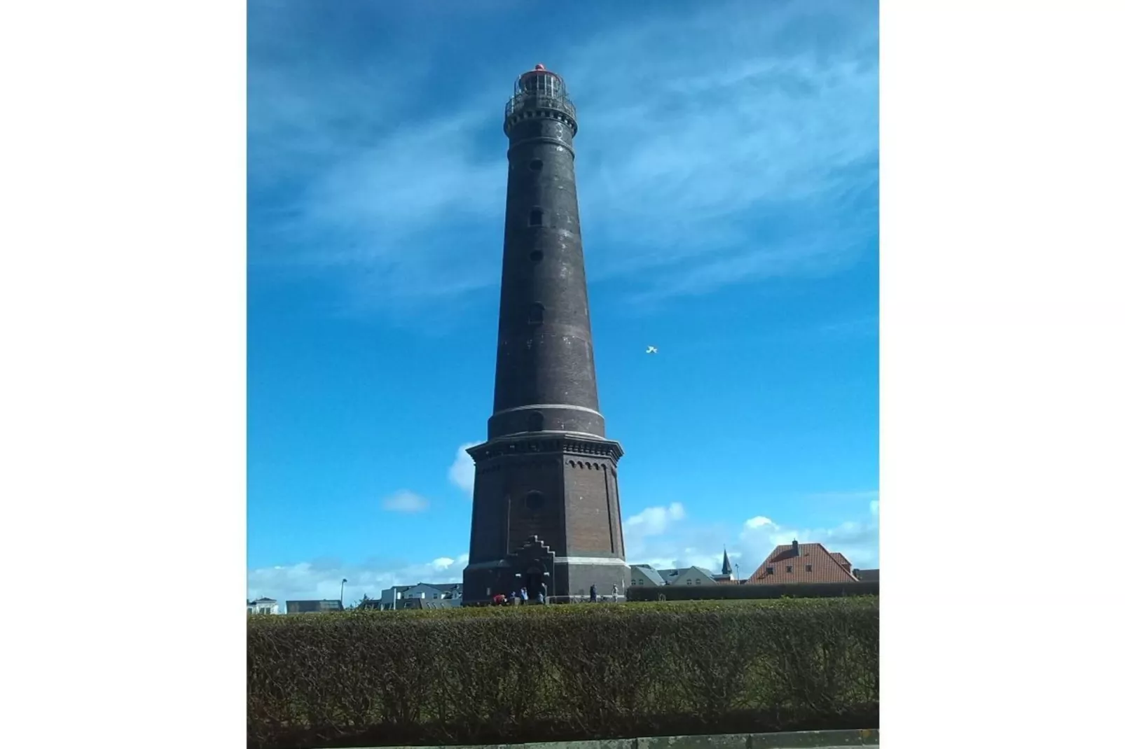 124191 - Gebieden zomer 1km