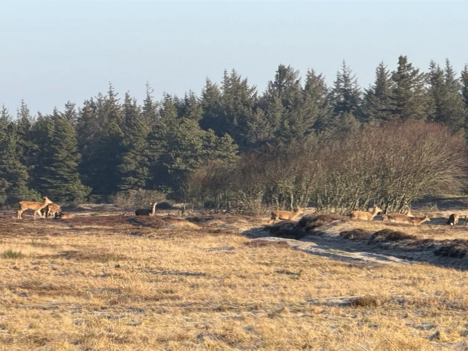 "Lucjan" - 800m from the sea - Buiten