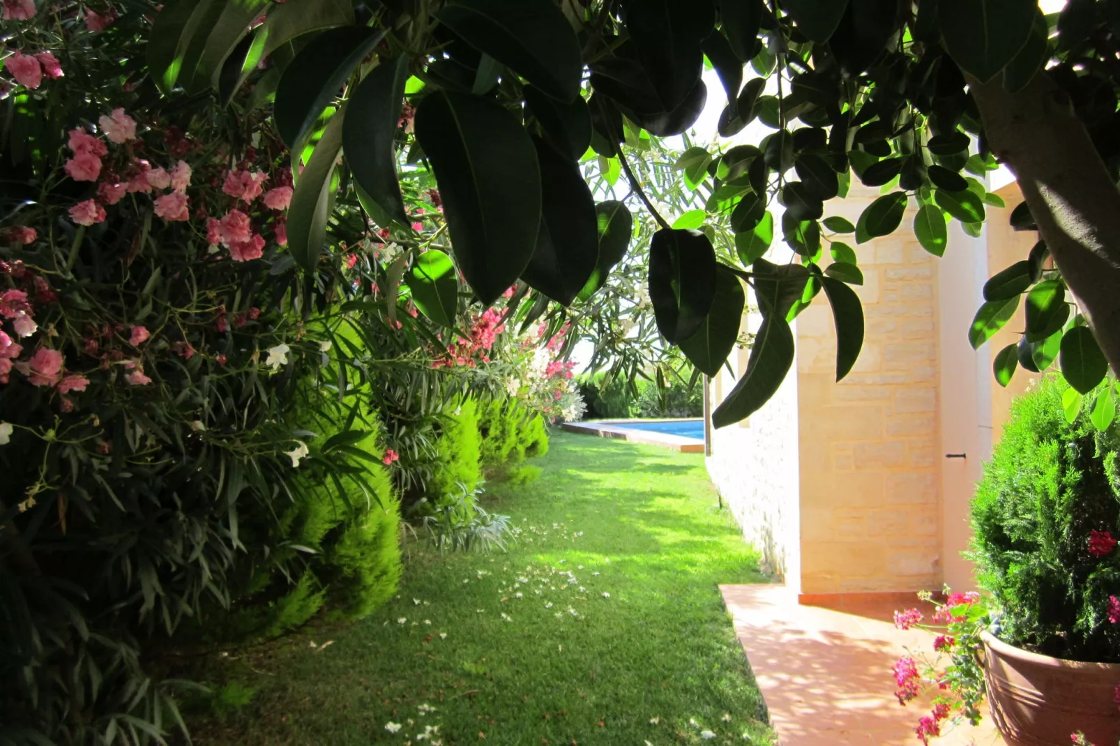 Villa Almond-Tuinen zomer