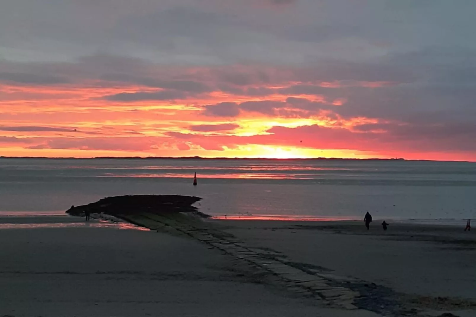 479985 - Gebieden zomer 5km