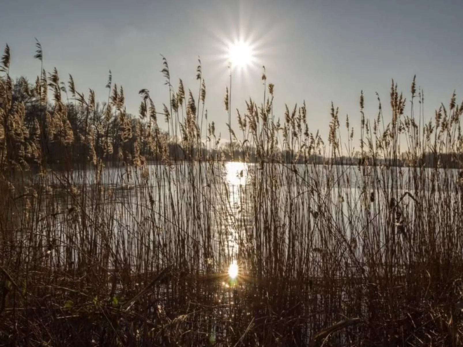Mit Fasssauna-Buiten