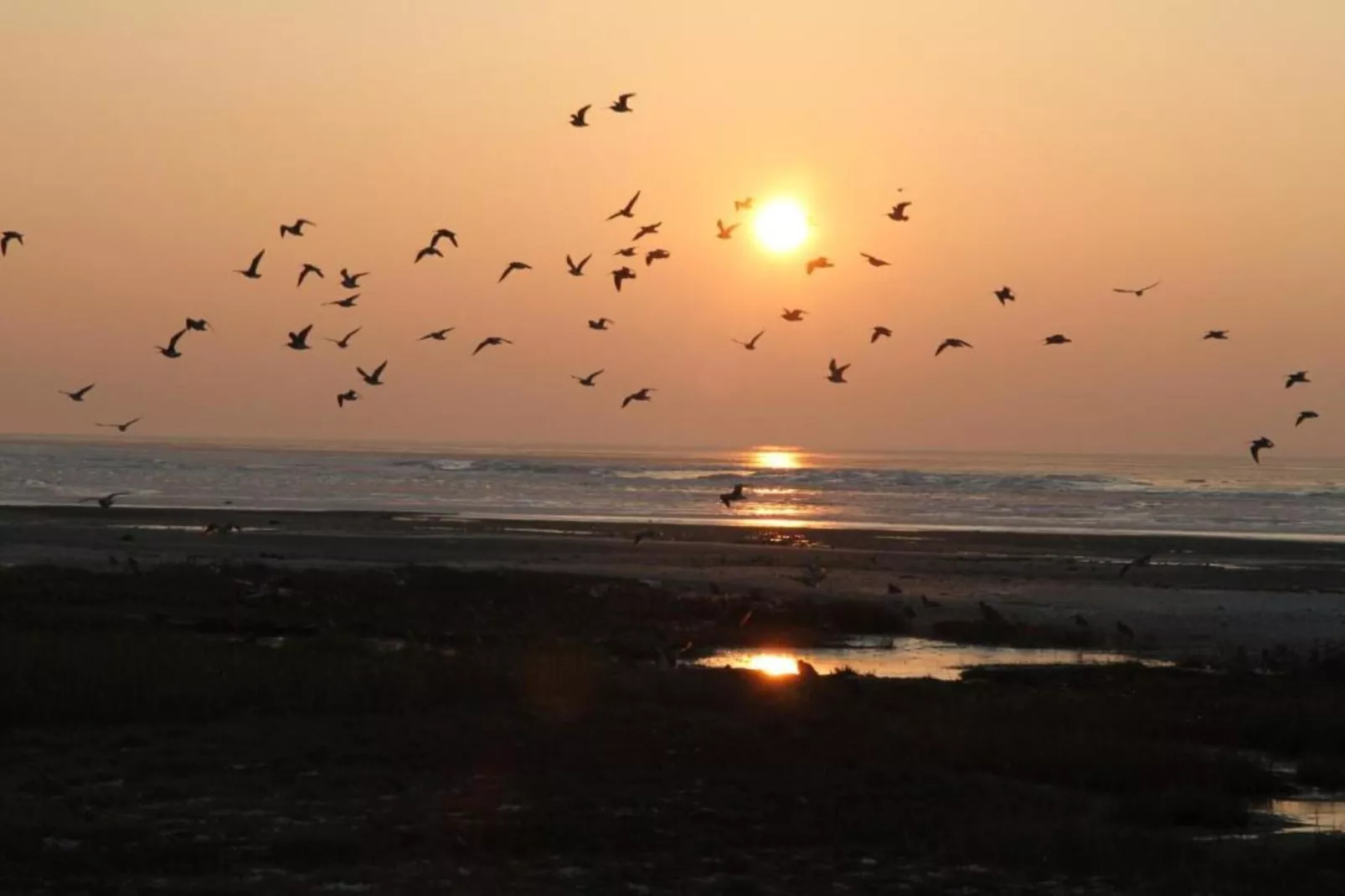 Duinchalet-Gebieden zomer 20km