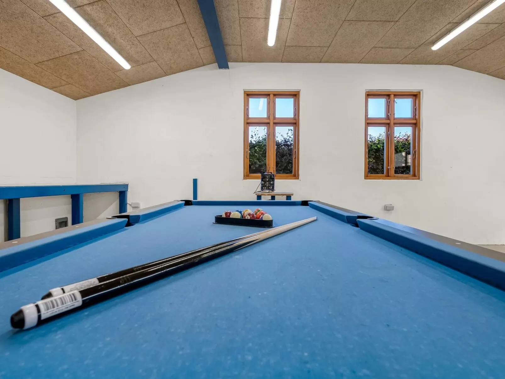 "Pauna" - 2.5km from the sea - Binnen