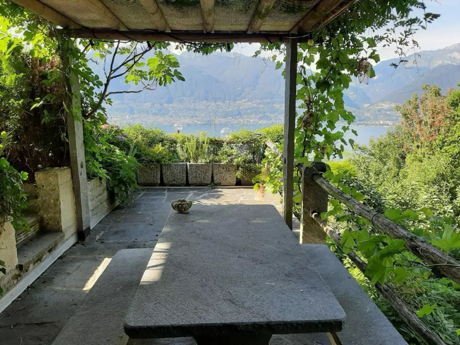 Virabella 8 - Image-tags.info