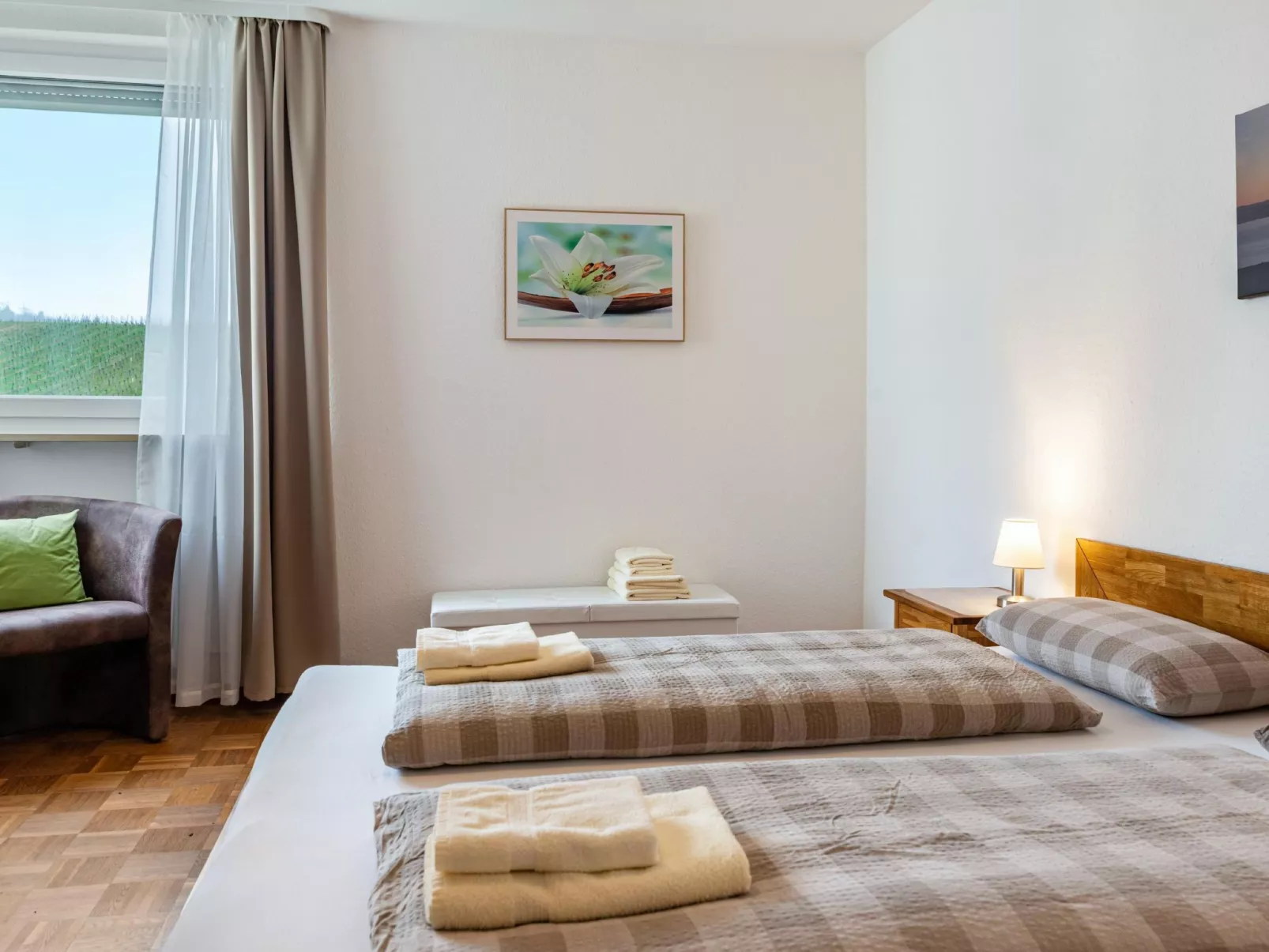 Alex - Image-tags.info