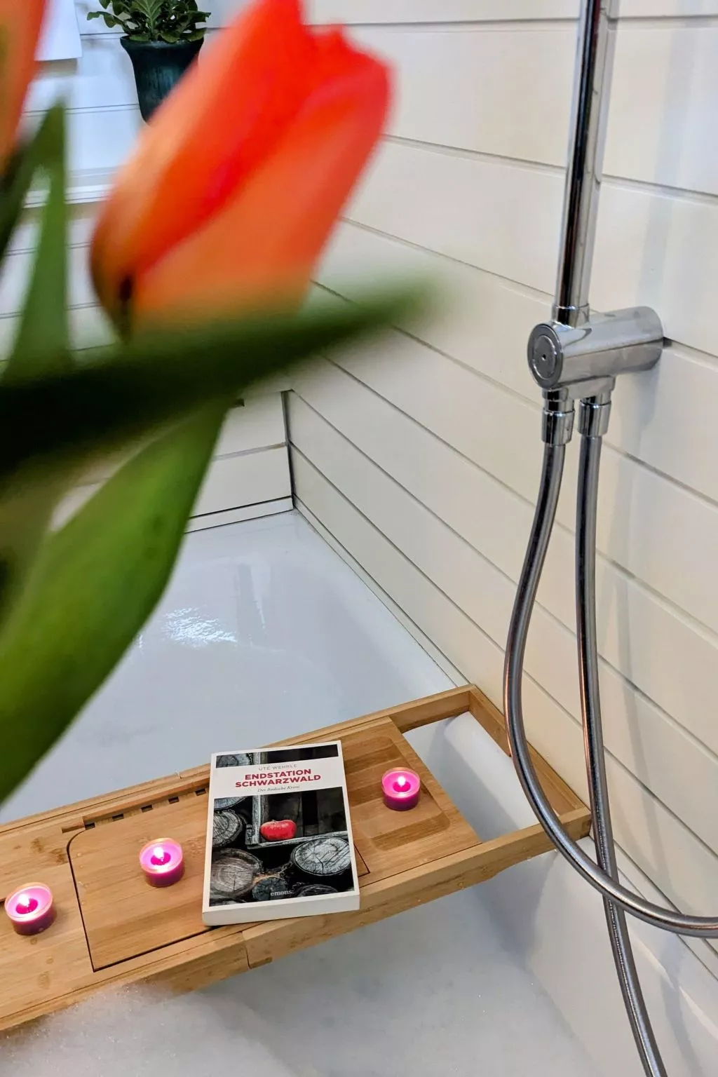 Schwarzwald Loft mit Schwimmbad und herrlicher Aussicht - Image-tags.info