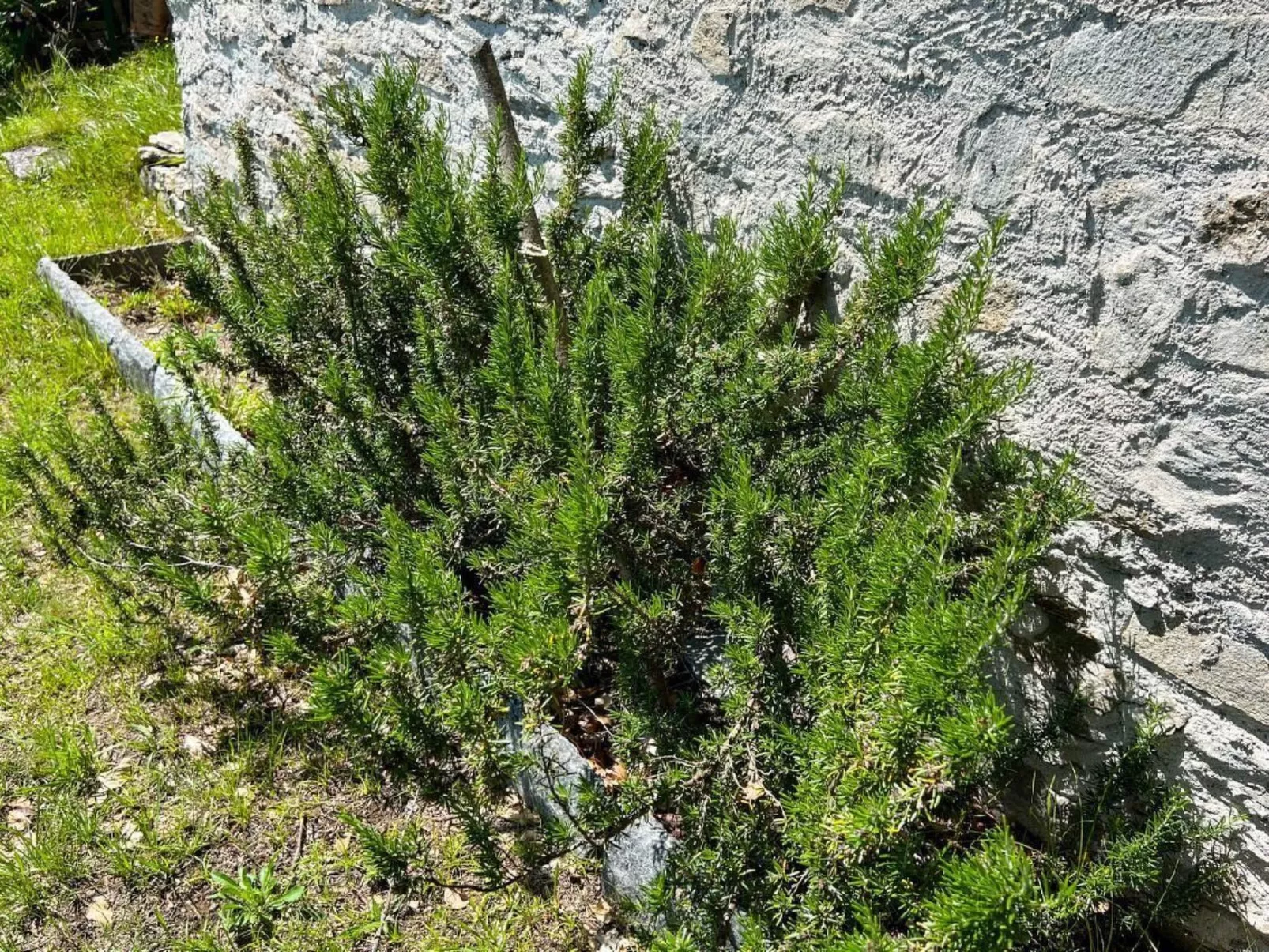 Rustico Eremo Rico - Image-tags.info