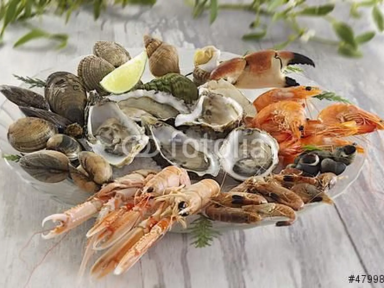 "Les flots bleus" (Die blauen Strände) - Binnen