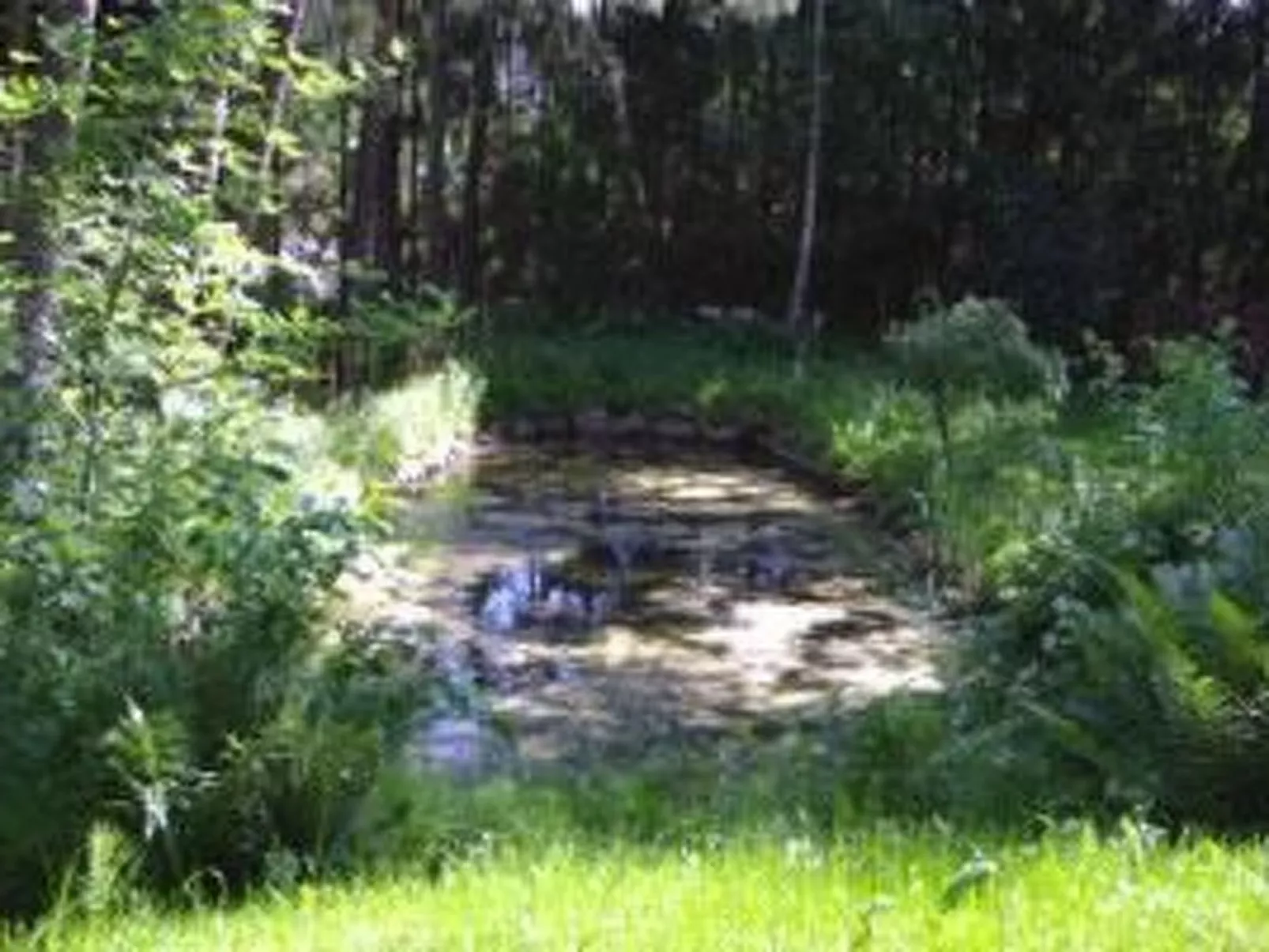 Seerose - Image-tags.info