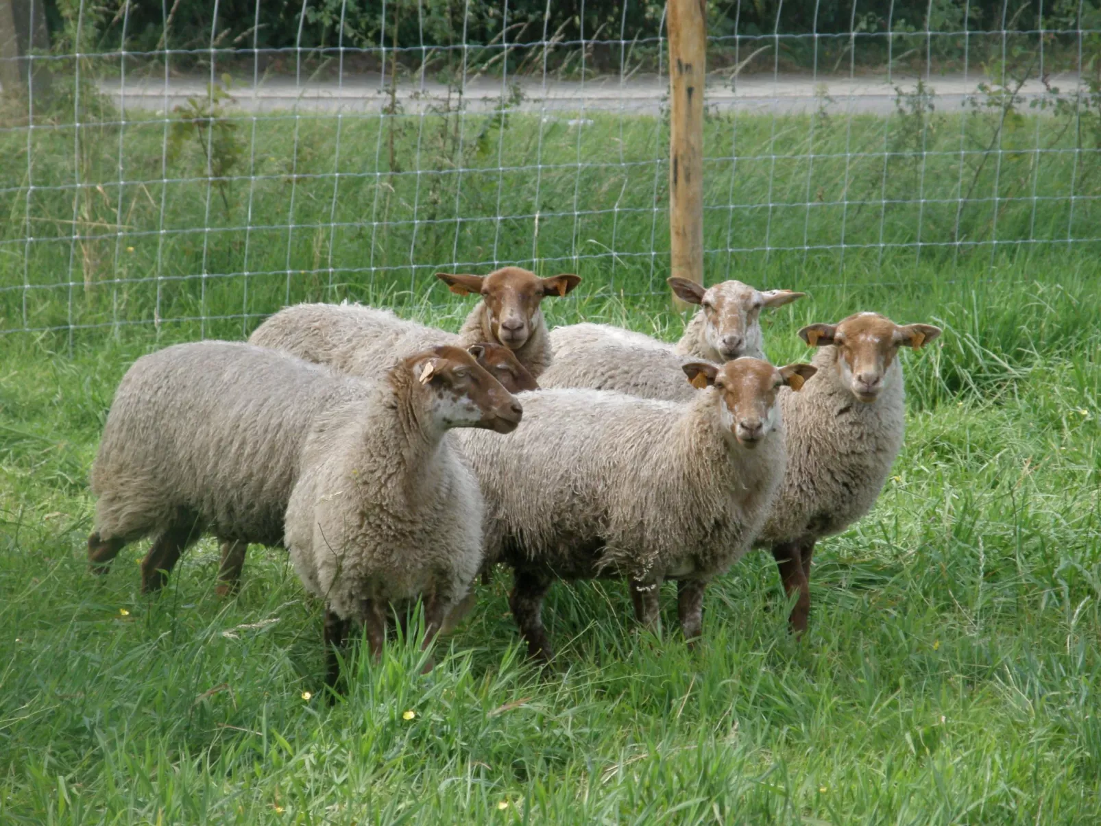 Nette Ferienwohnung mit Terrasse, Pool und Garten - Image-tags.info