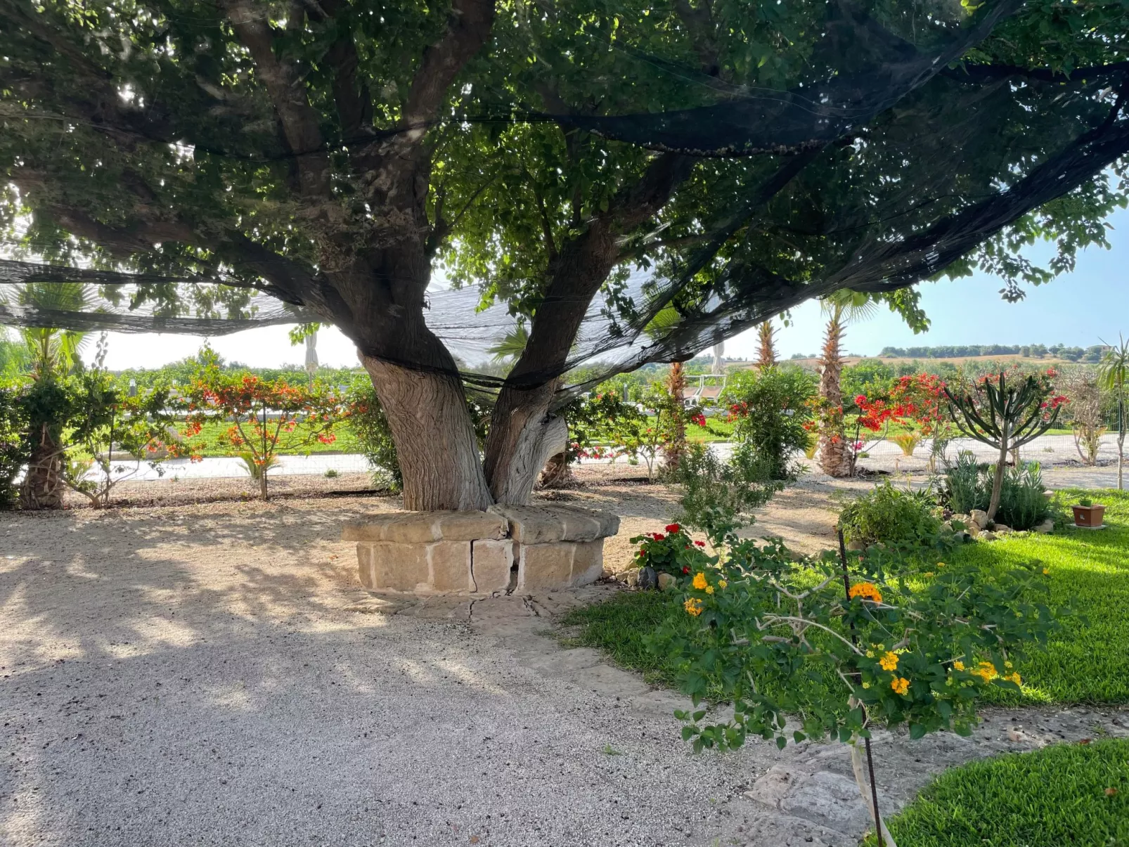 Landhaus Appartement Ulivo - Image-tags.info