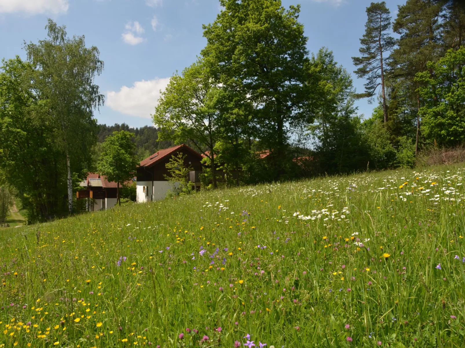 Gemütliche Wohnung in Berghäuser mit Kleinem Garten - Image-tags.info