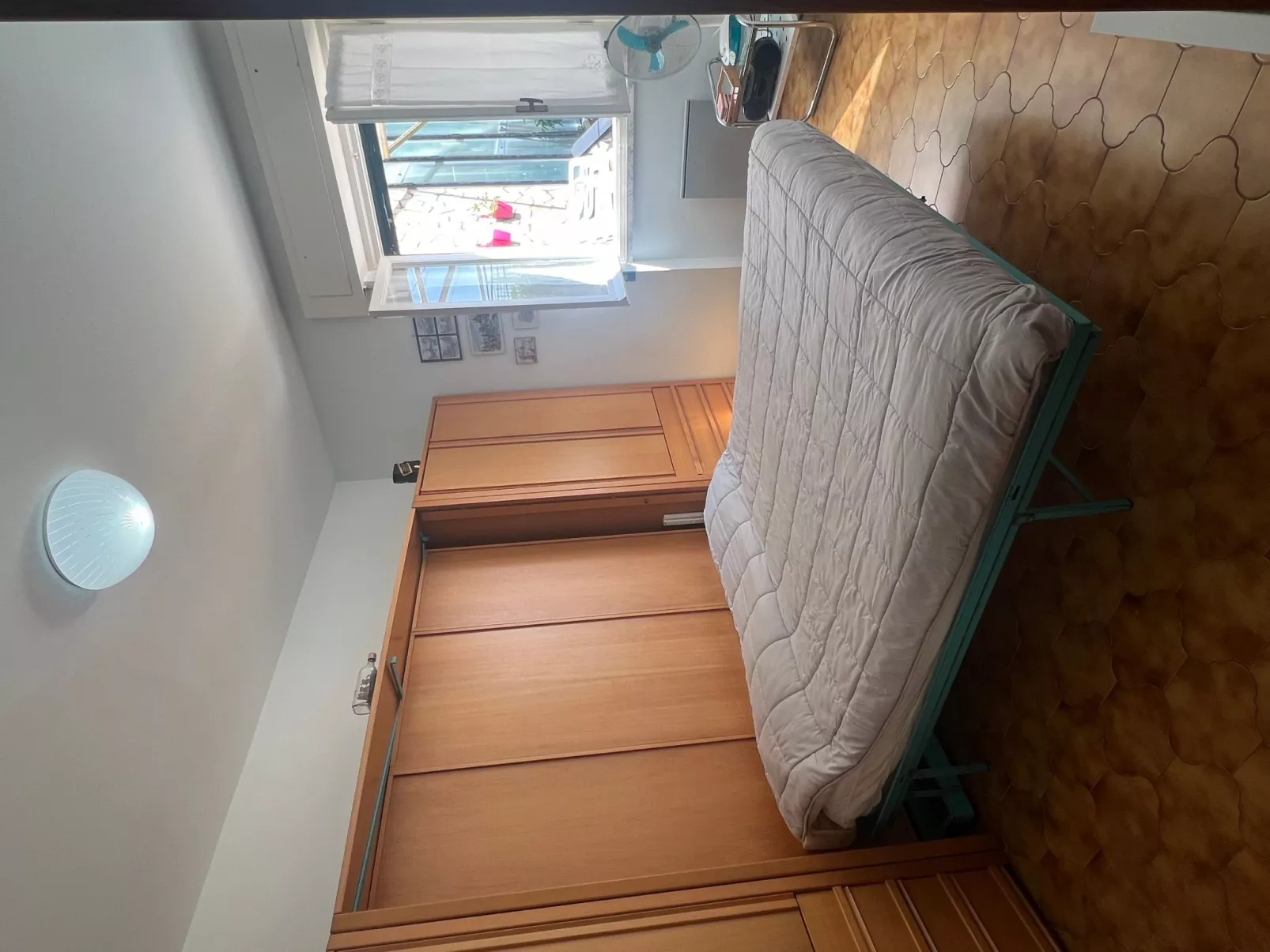 Pitosforo - Image-tags.info