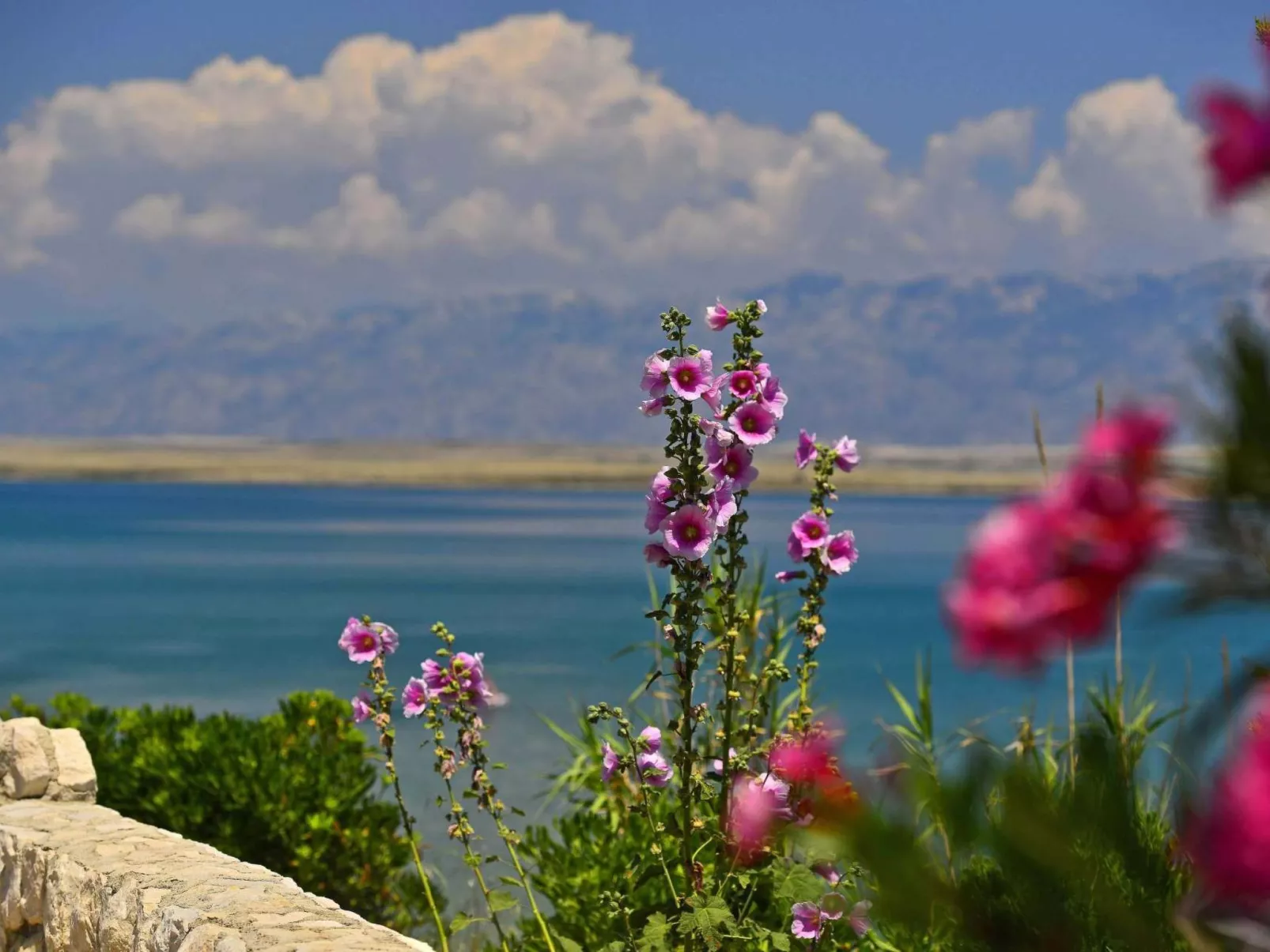 Villa mit beheiztem Pool, schöne Aussicht, Strandnähe - Image-tags.info